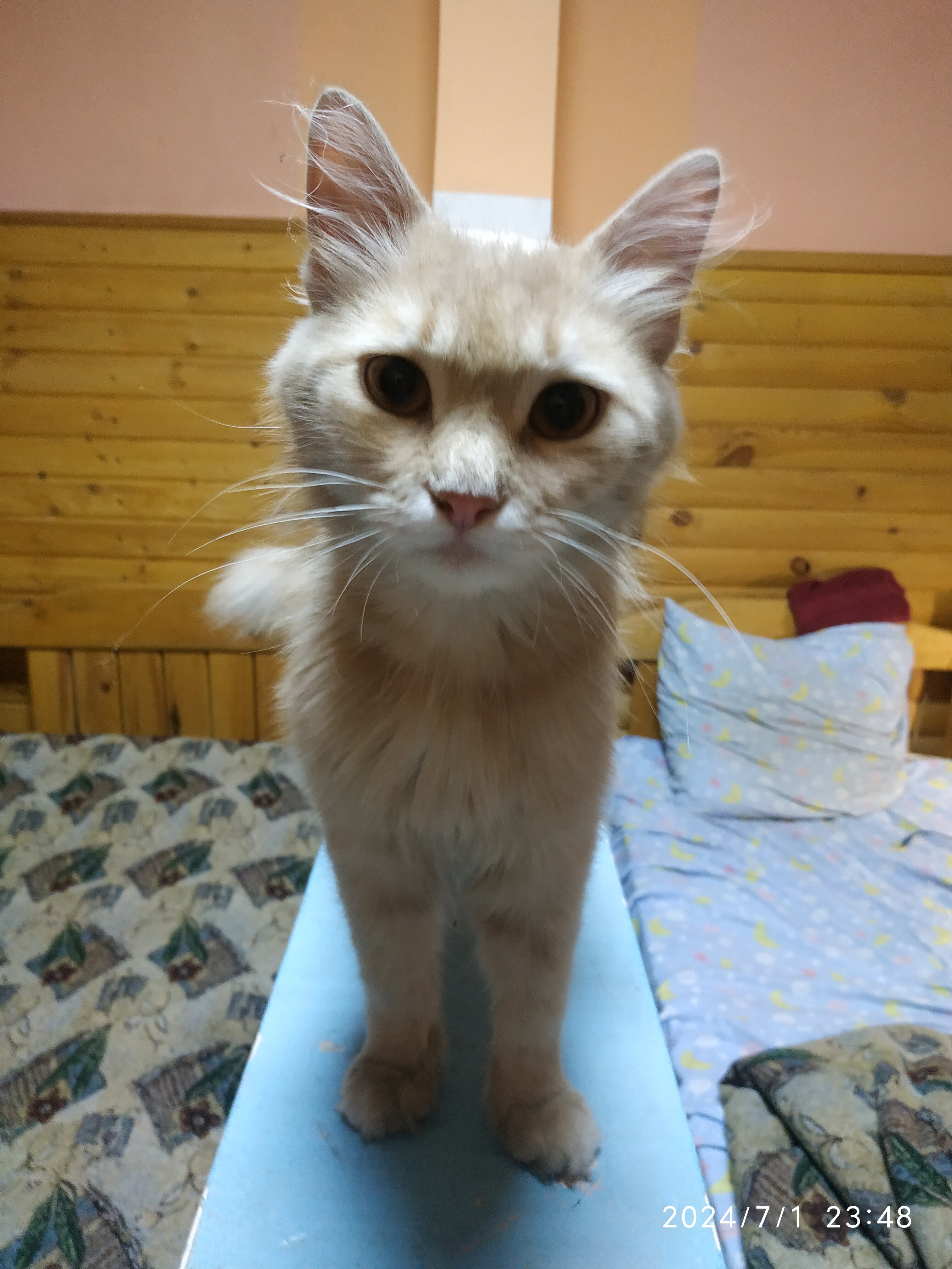 Фото Радуга