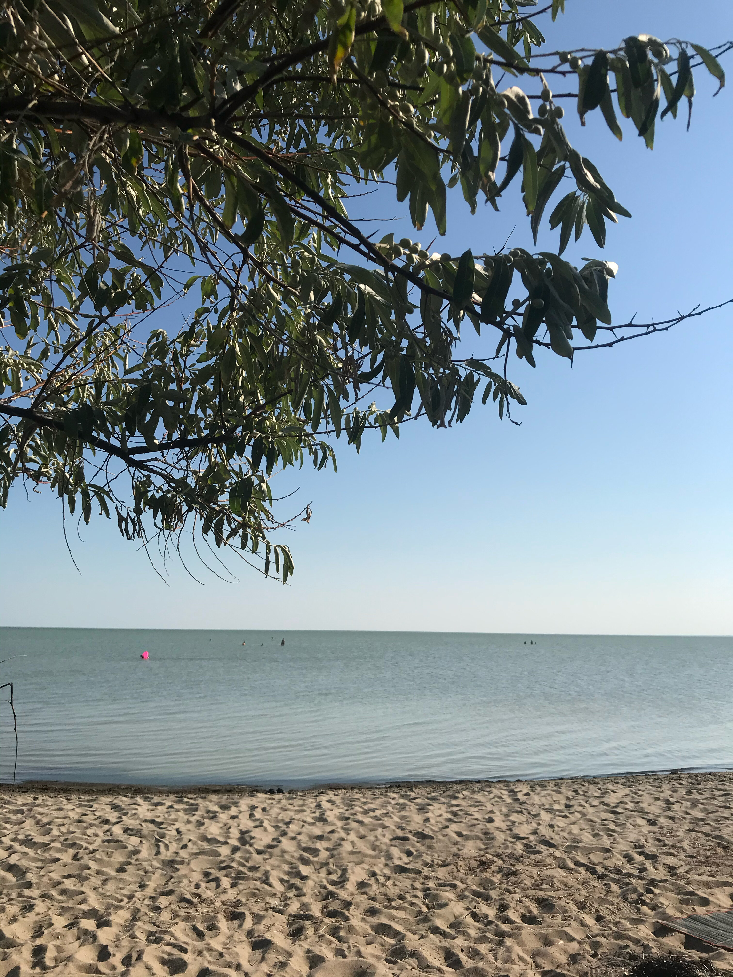 Фото Славянская усадьба