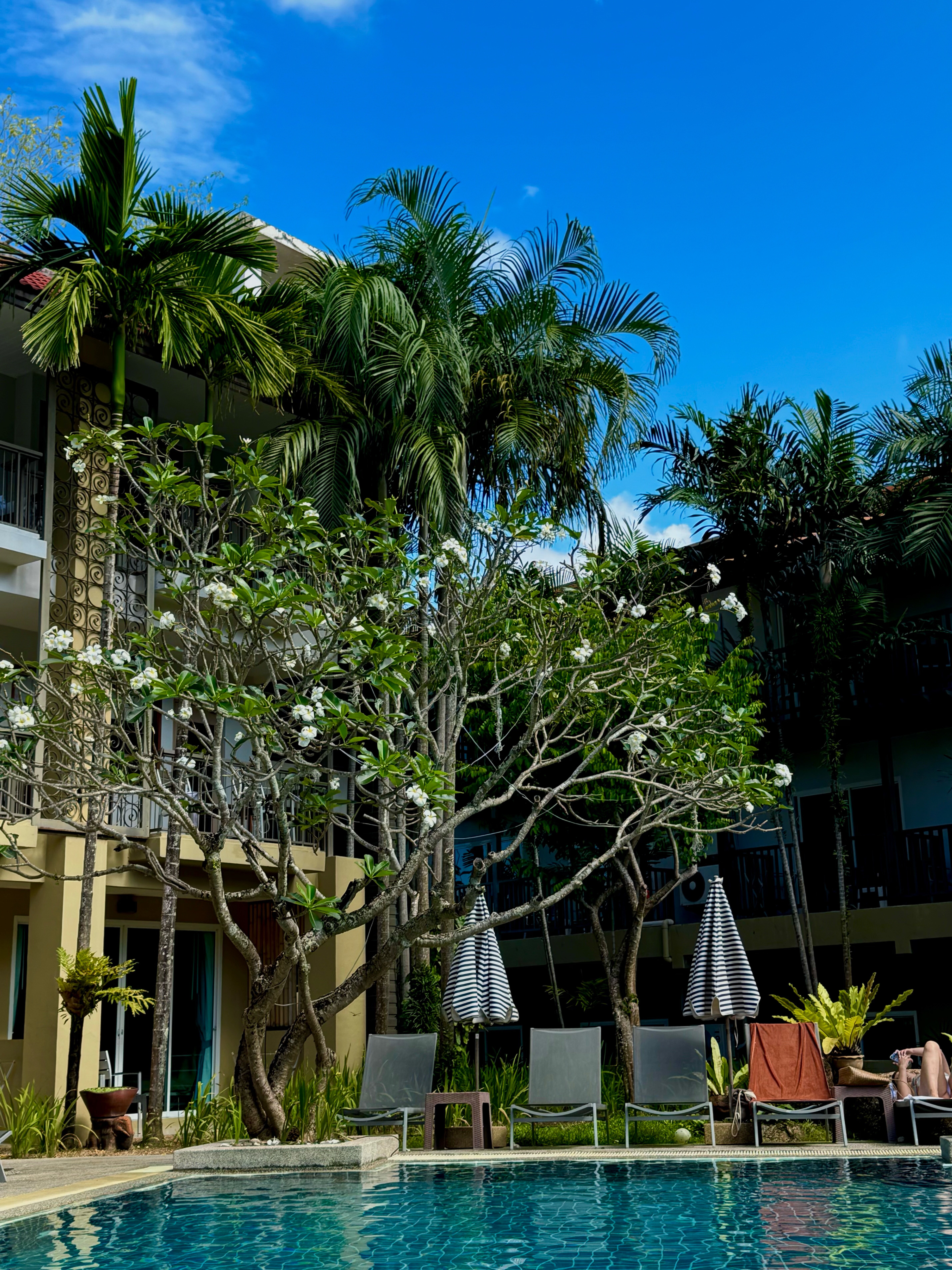 Фото Baan Karon Resort