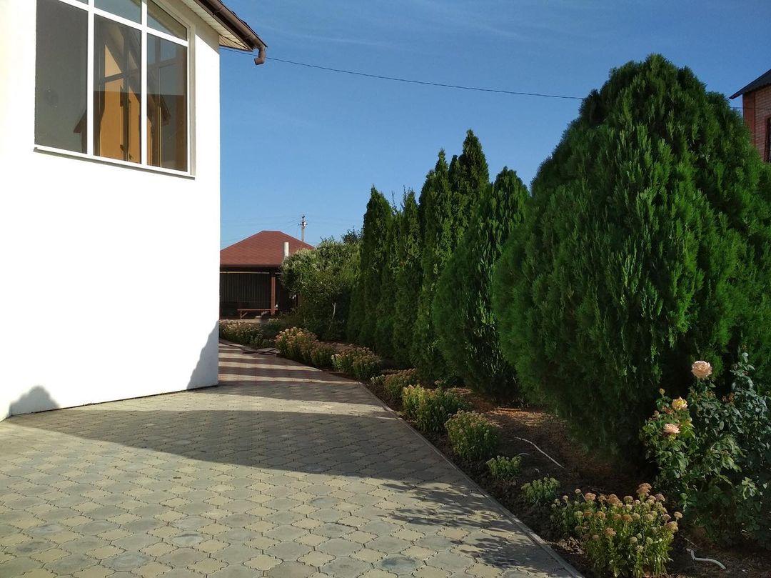 Фото Корона