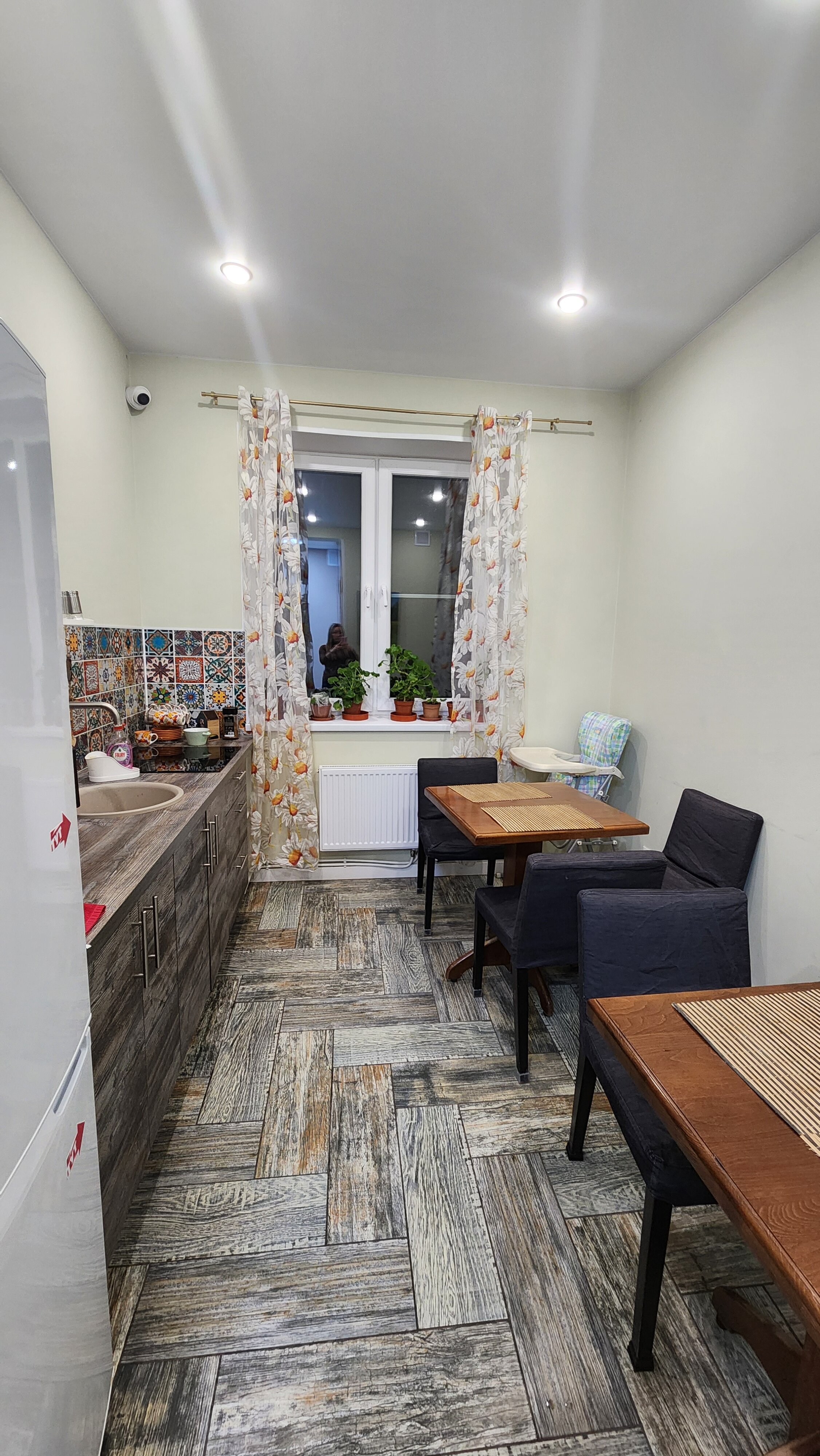 Фото Сова в Шереметьево