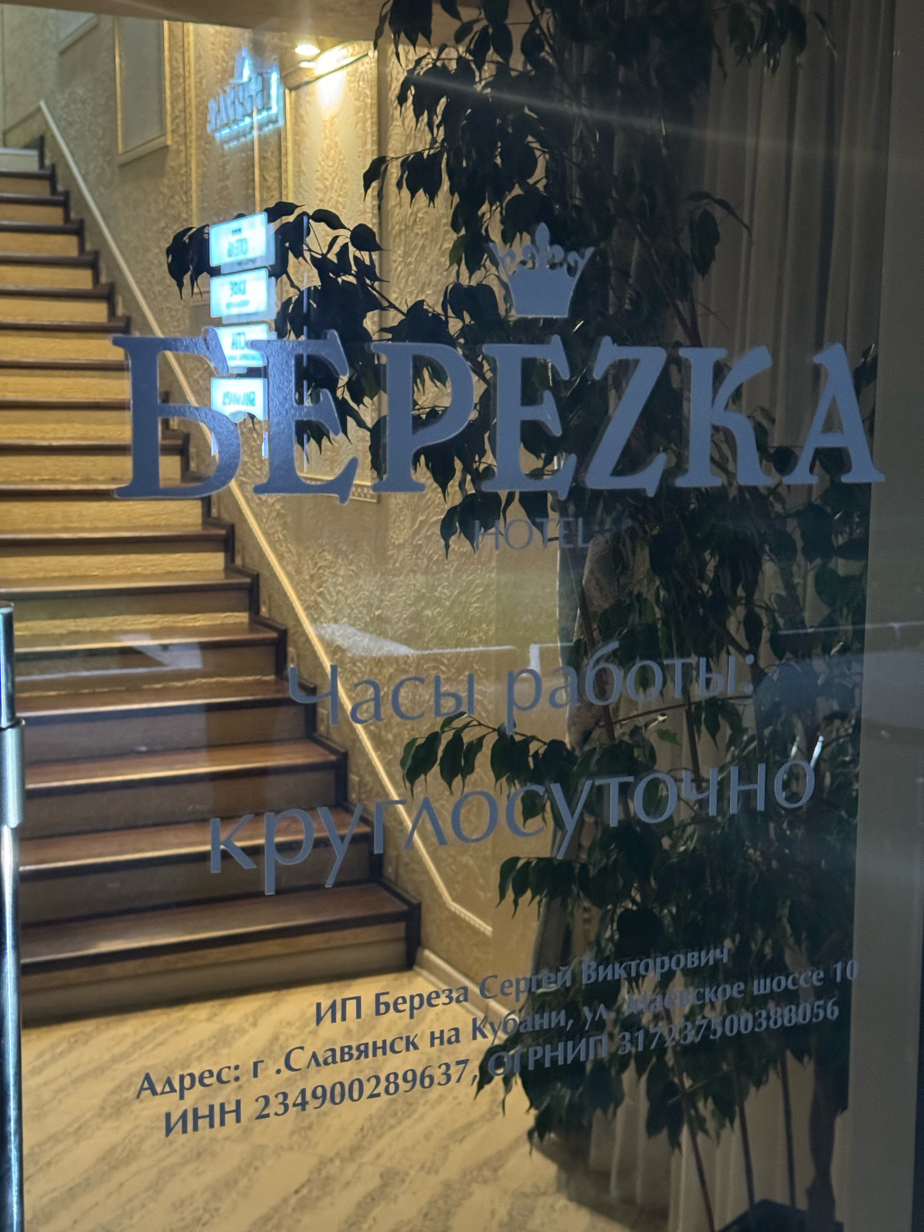 Фото Березка