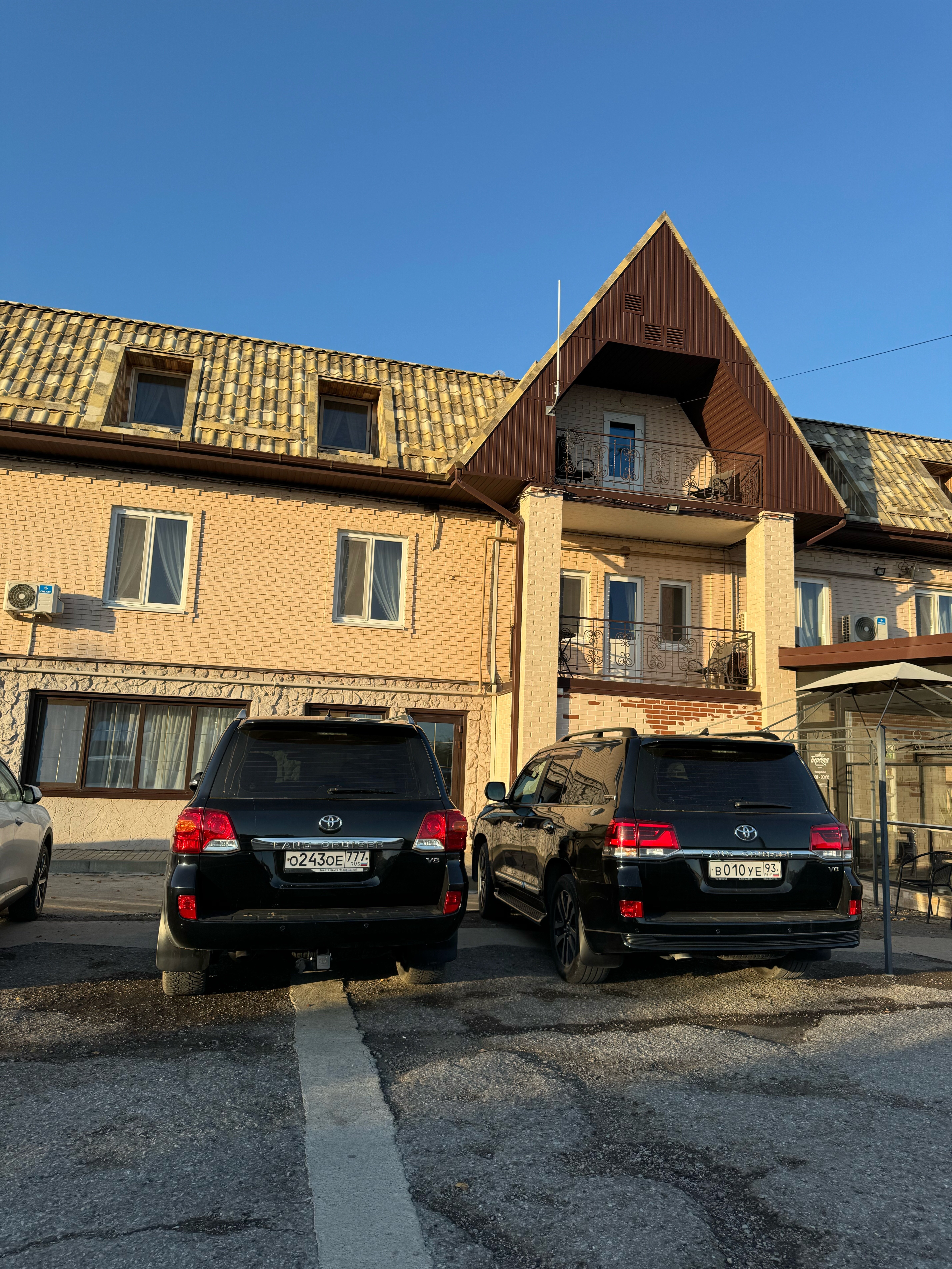 Фото Березка