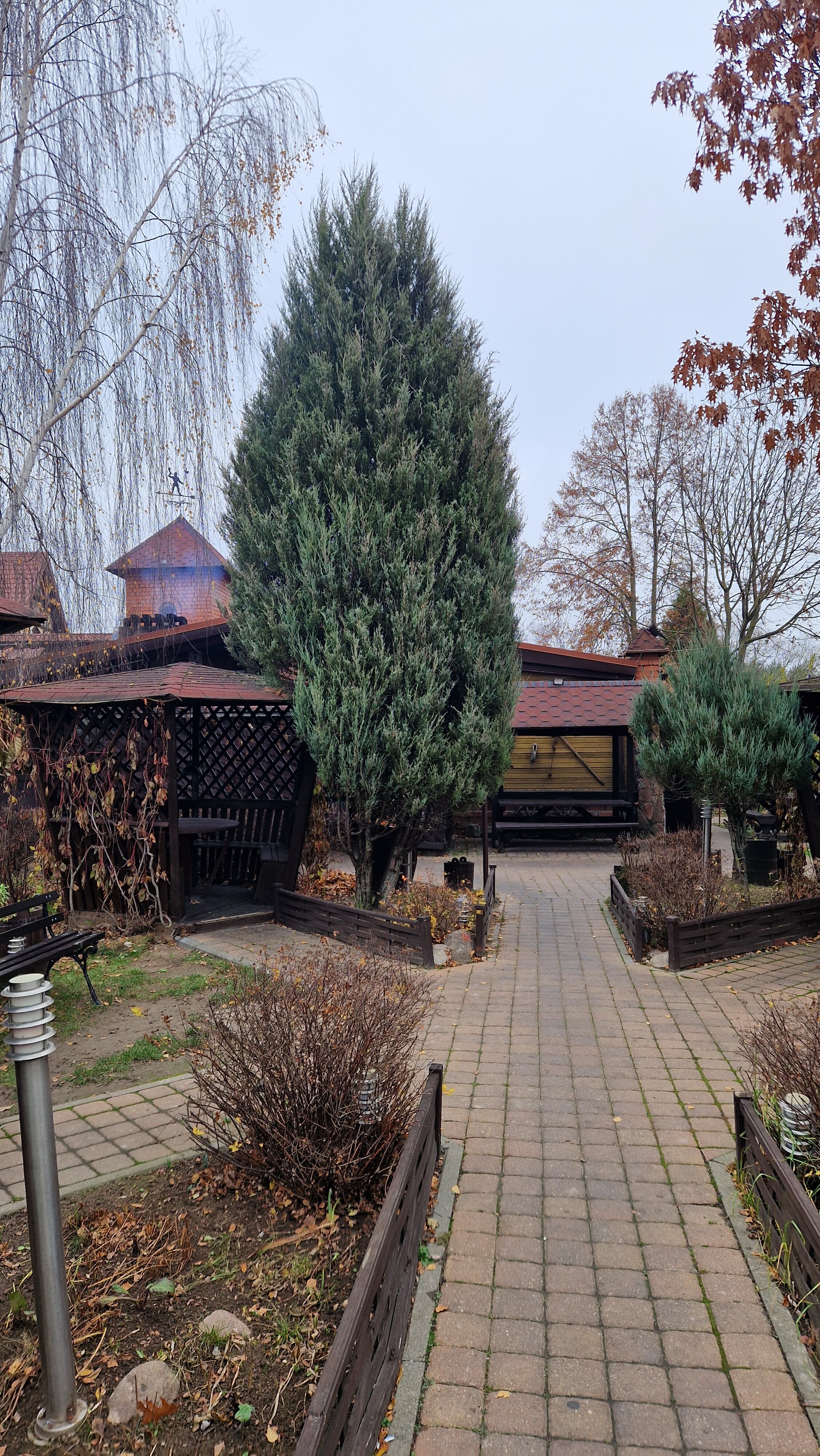 Фото Маёнтак Птичь