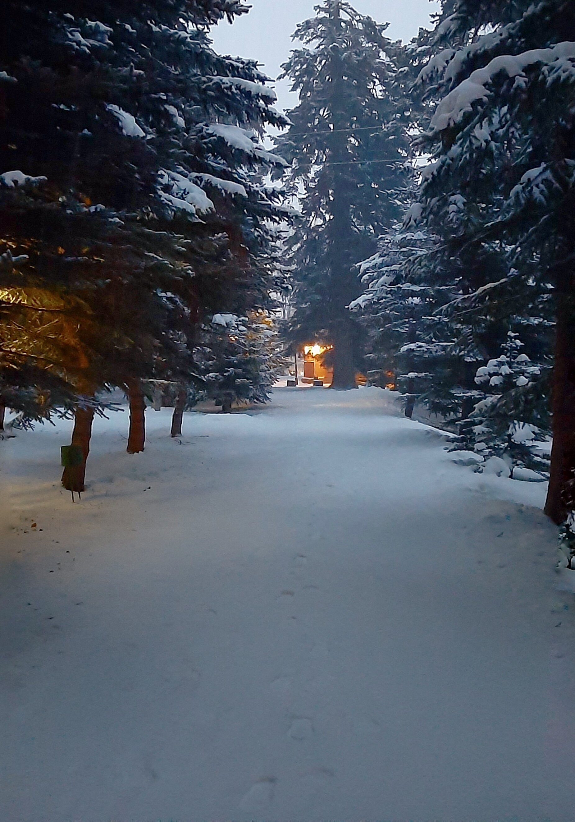 Фото Банковская дача