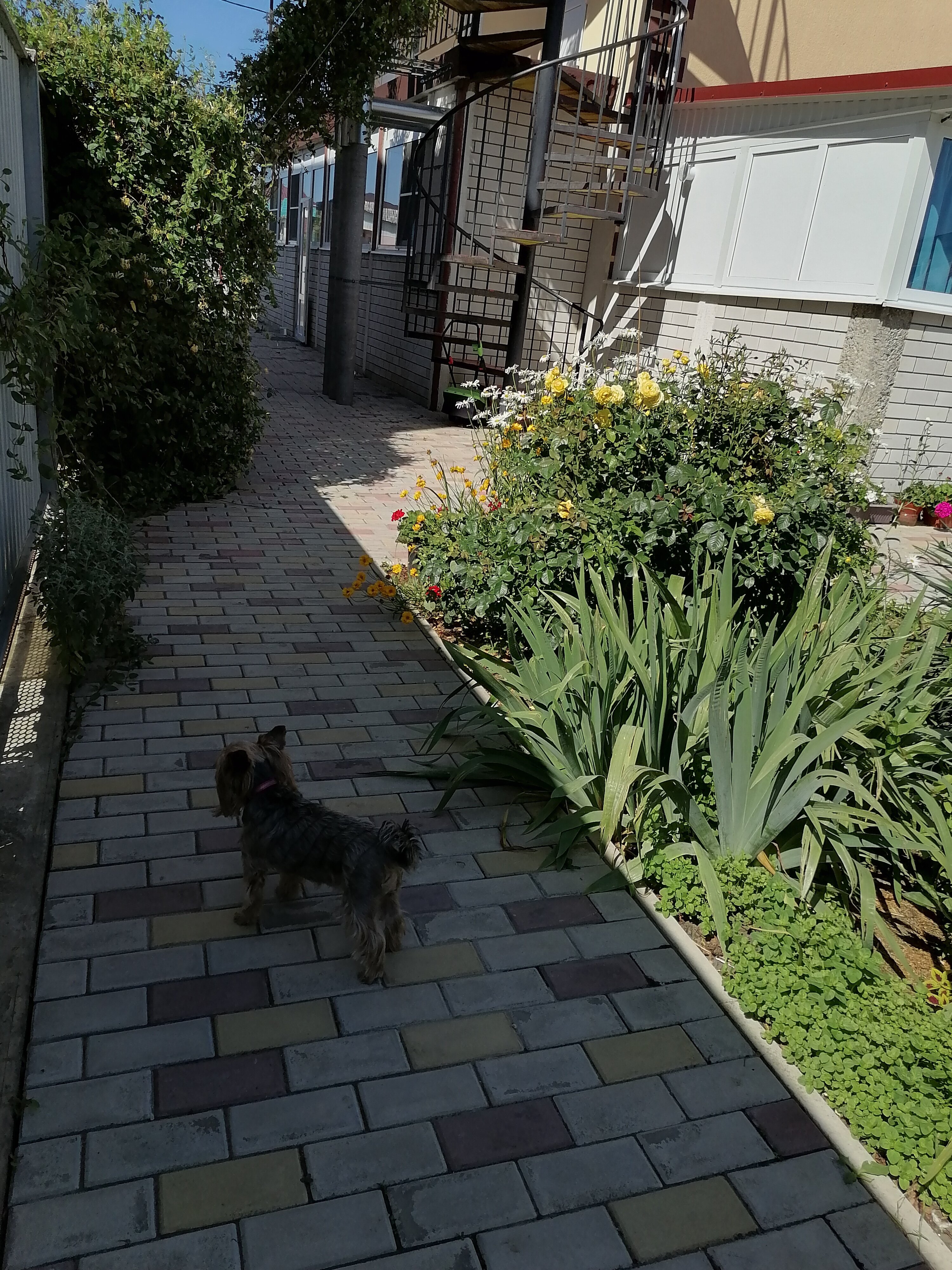 Фото Белогорье