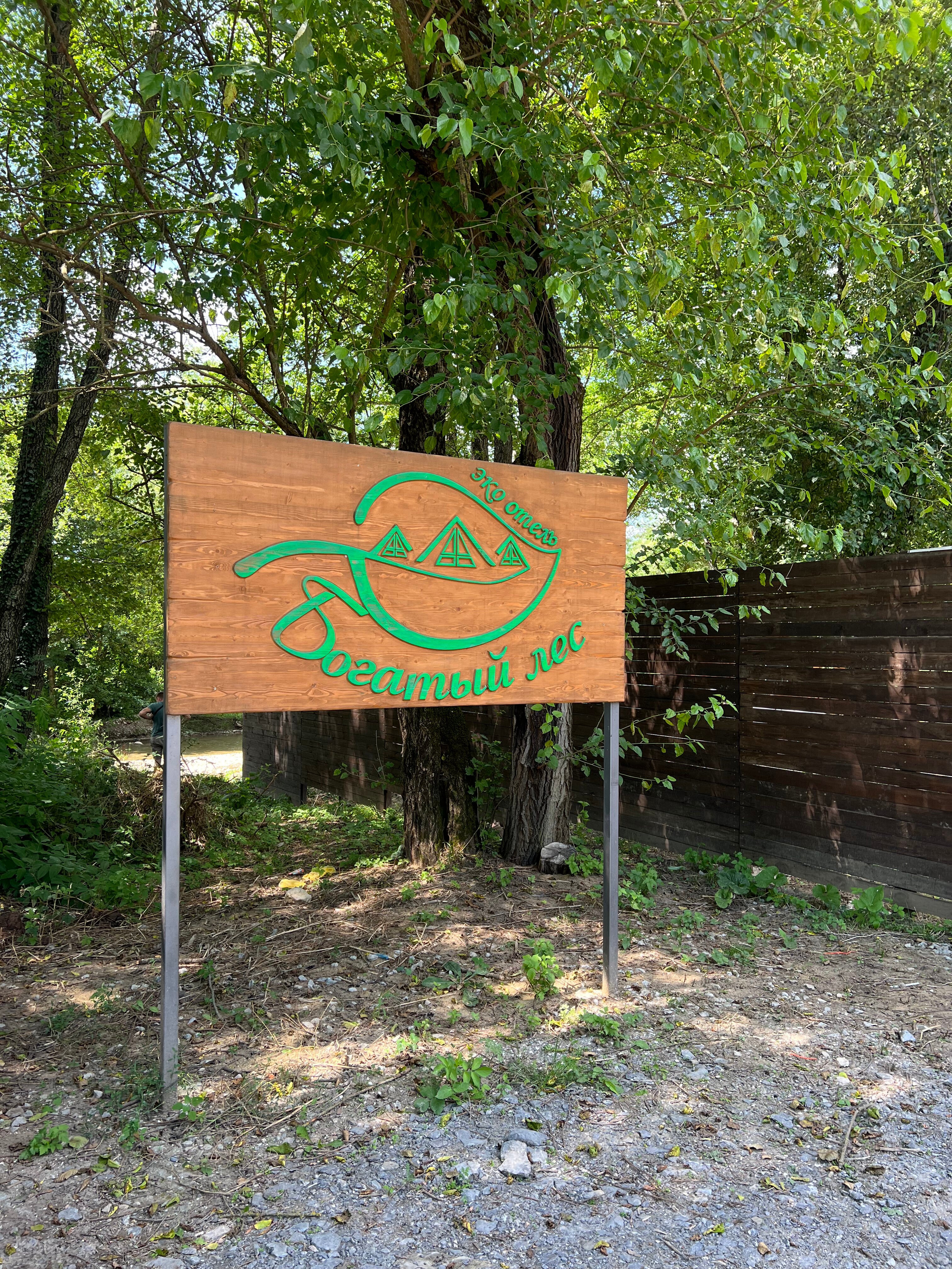 Фото Богатый лес