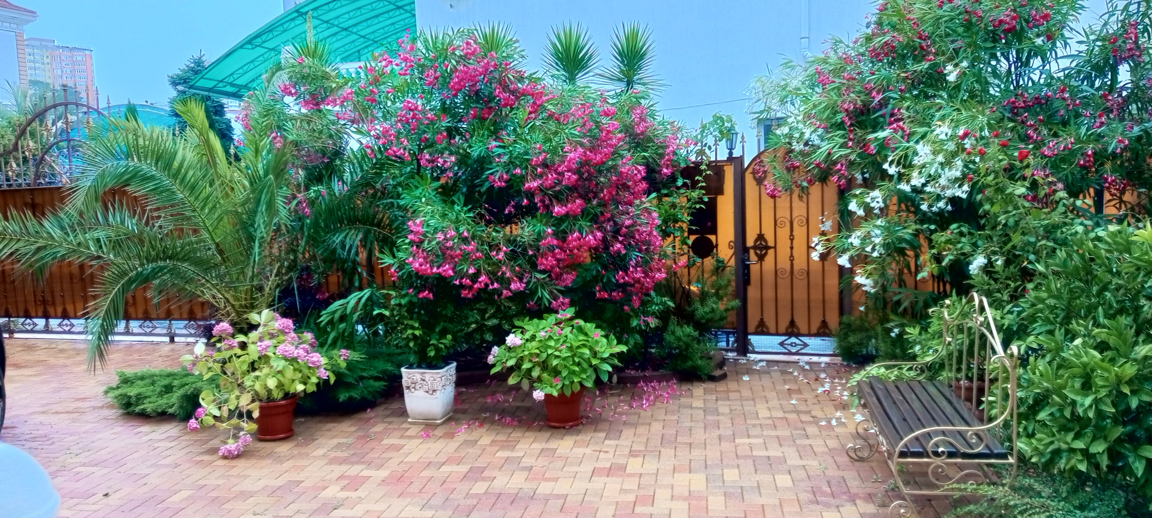 Фото отеля 2