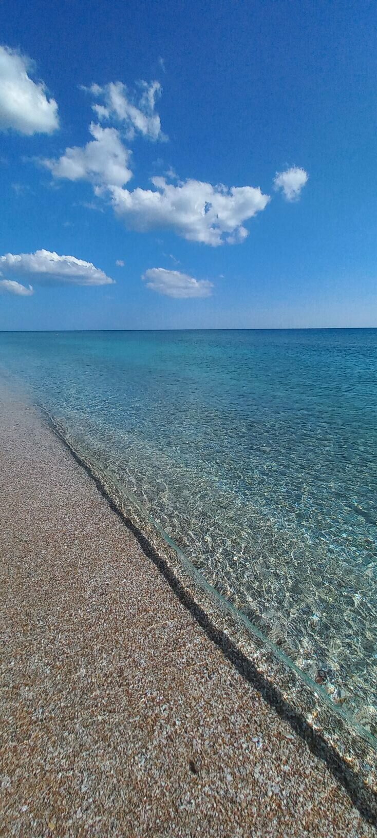 Фото Ника