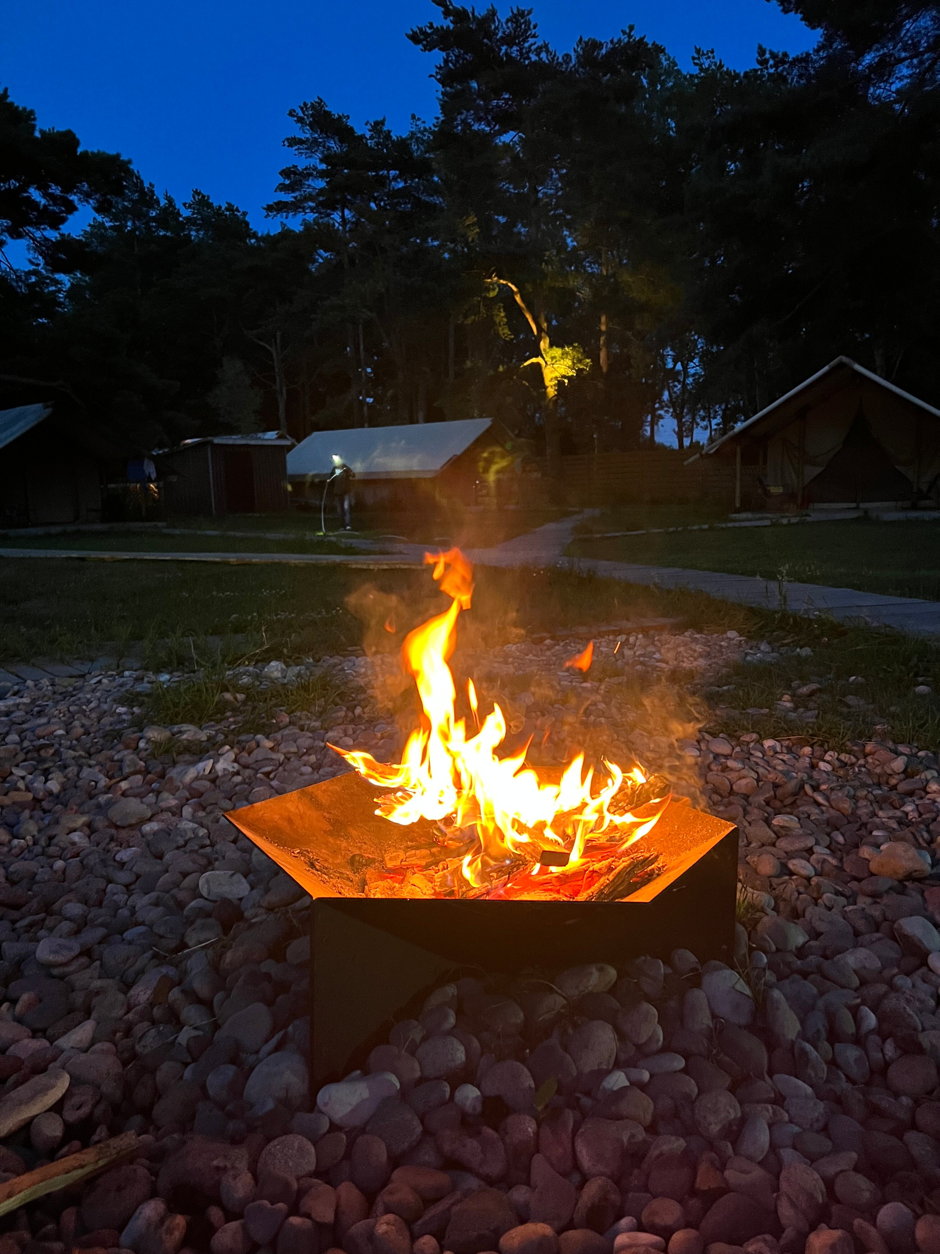 Фото Малина