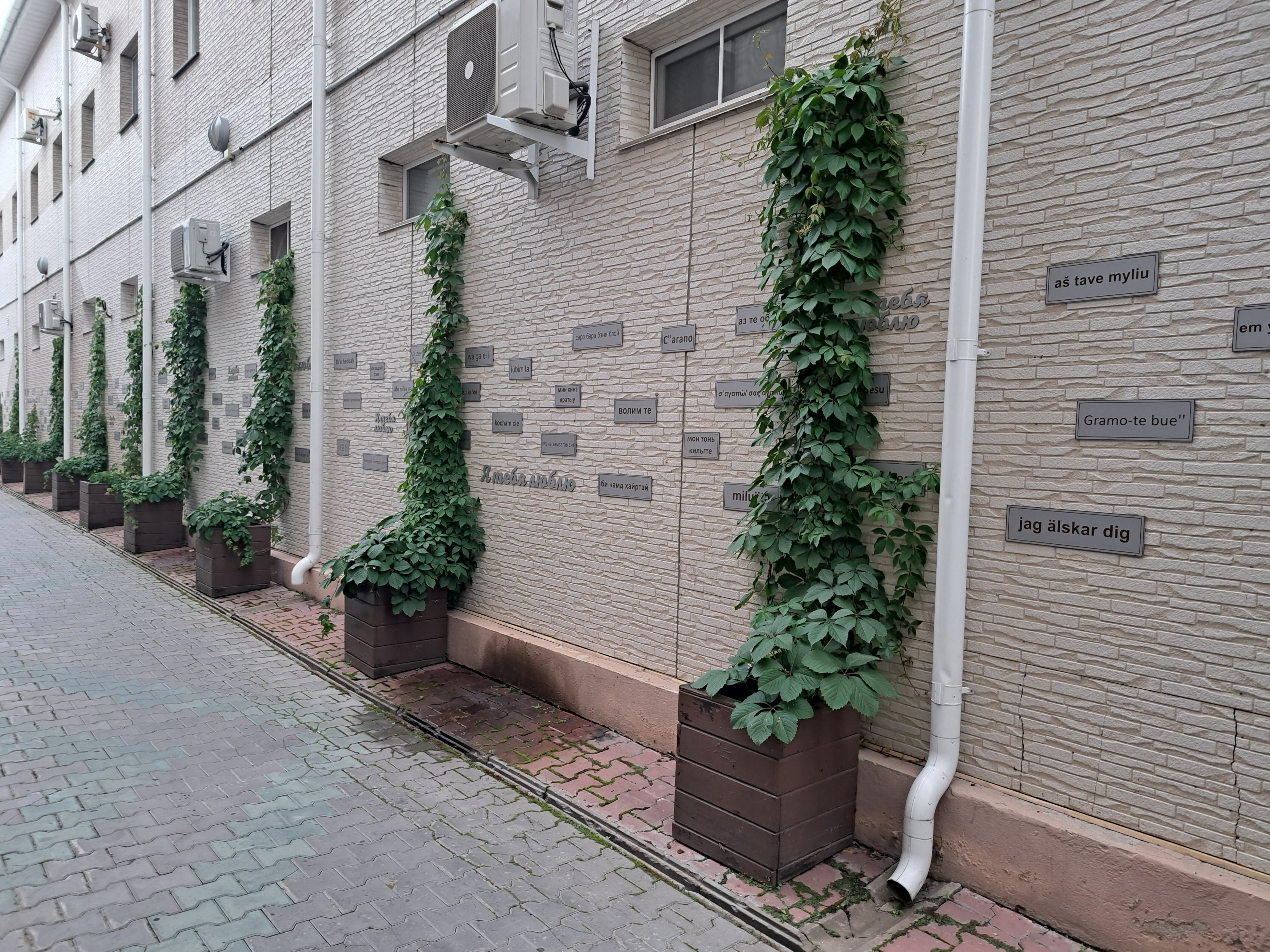 Фото Зарина