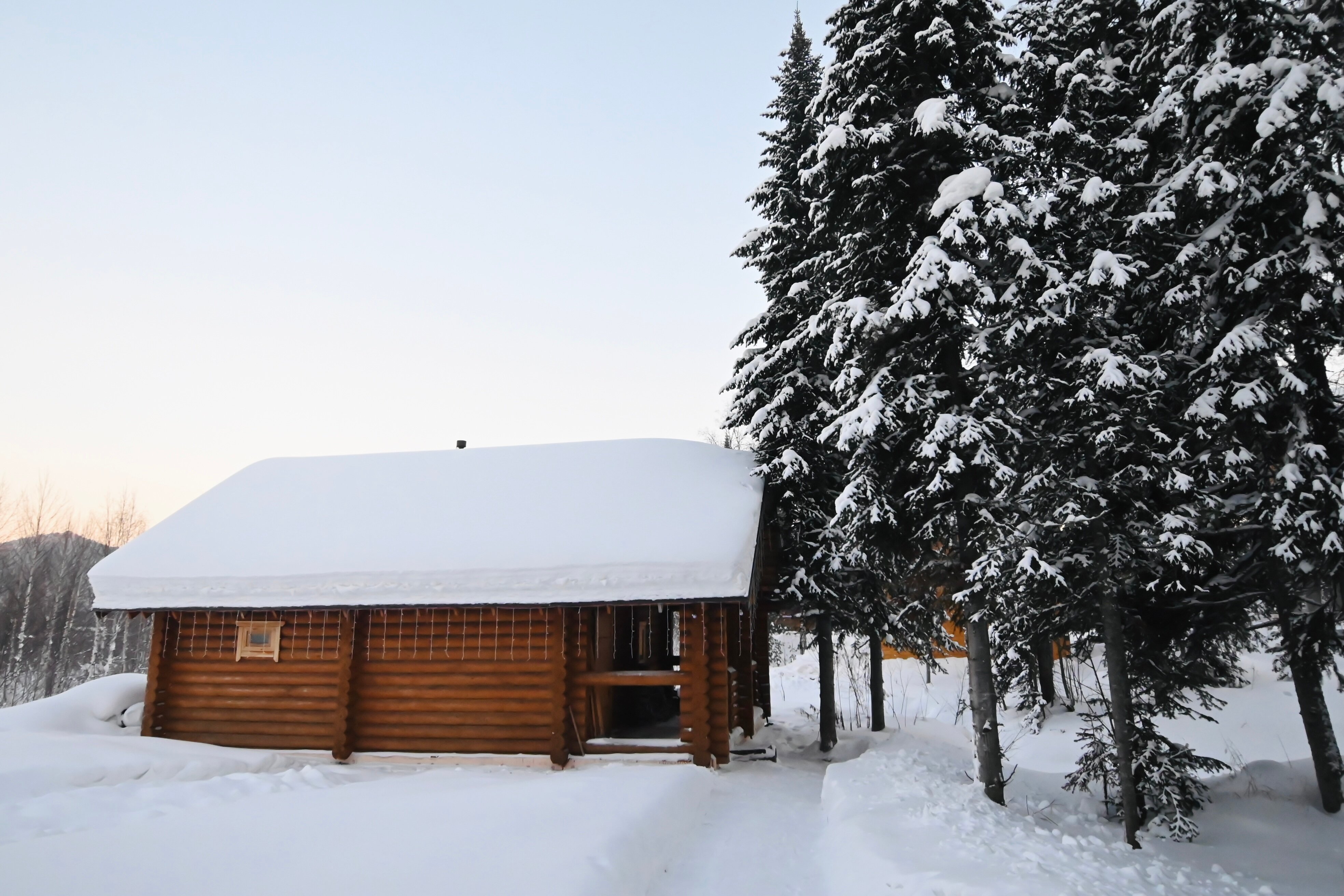 Фото Cosmos Gesh