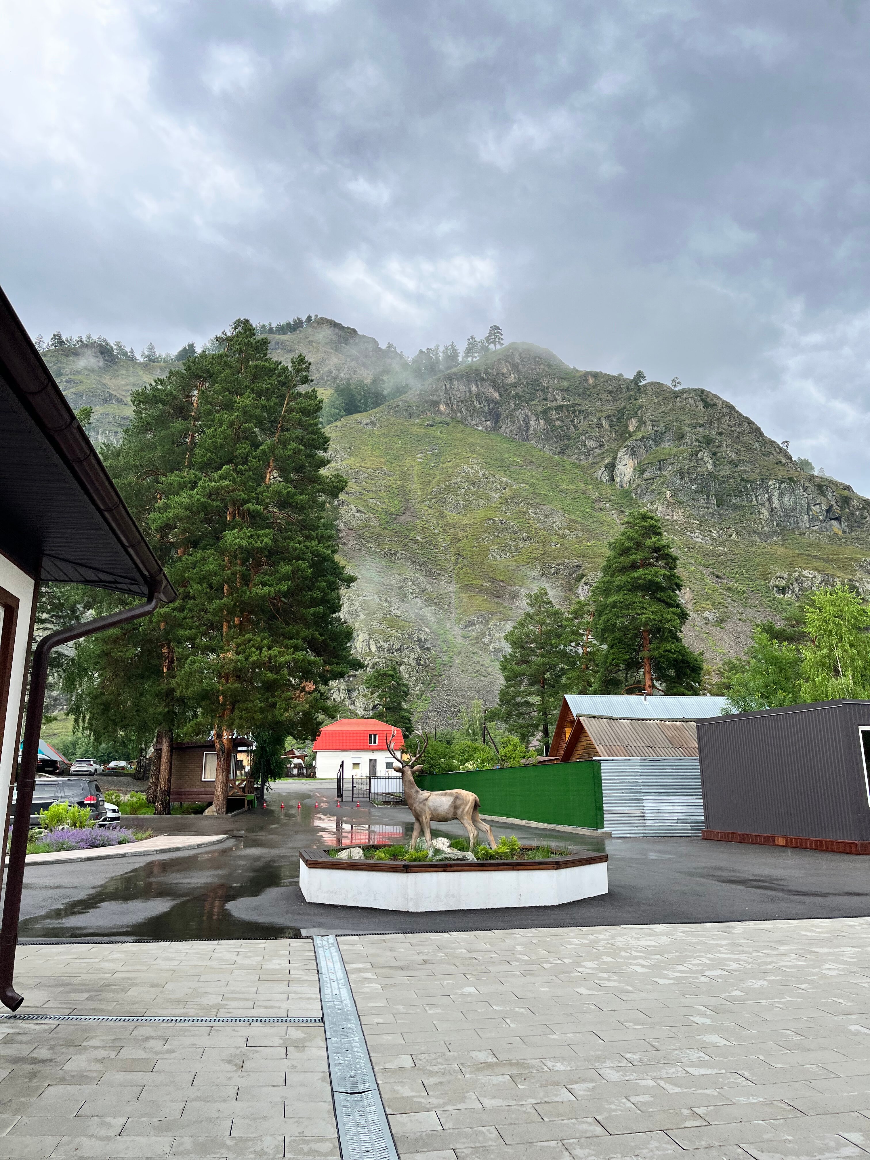 Фото Эко-отель Чемал