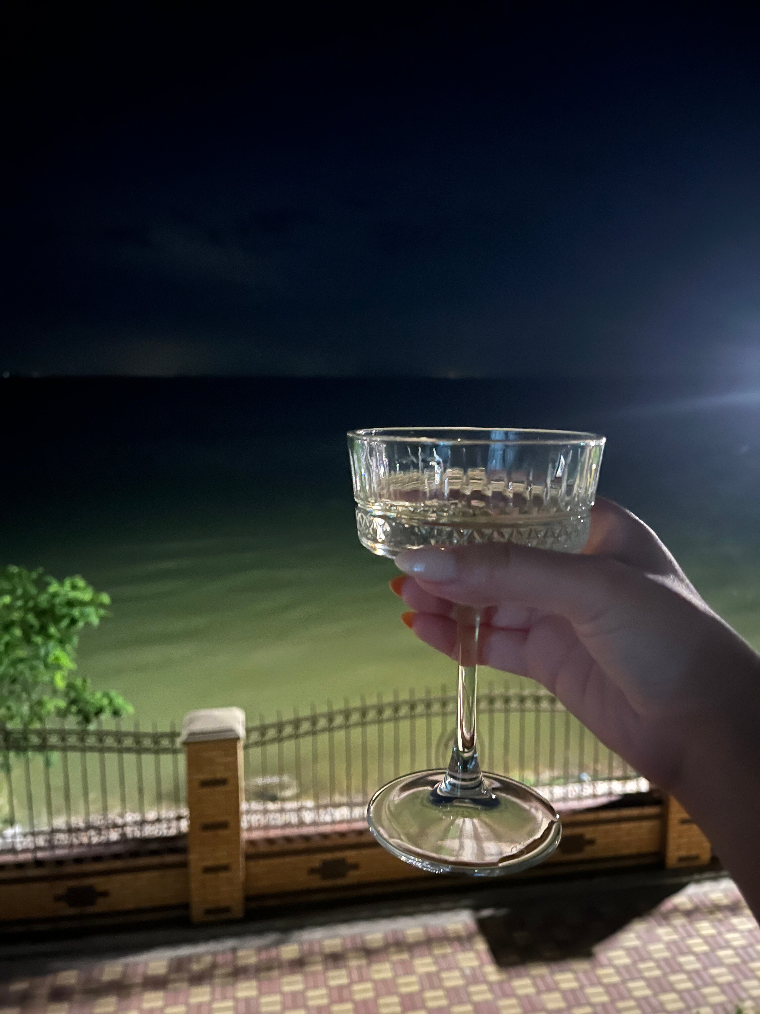 Фото Diamond Park Hotel