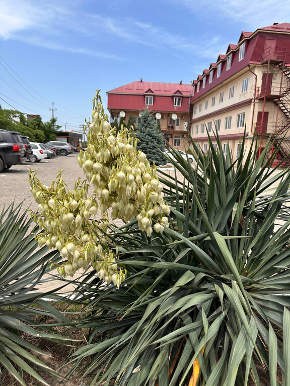 Фото Турист