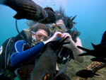 Reef Dive Club (Naberezhnaya ulitsa, 5), diving