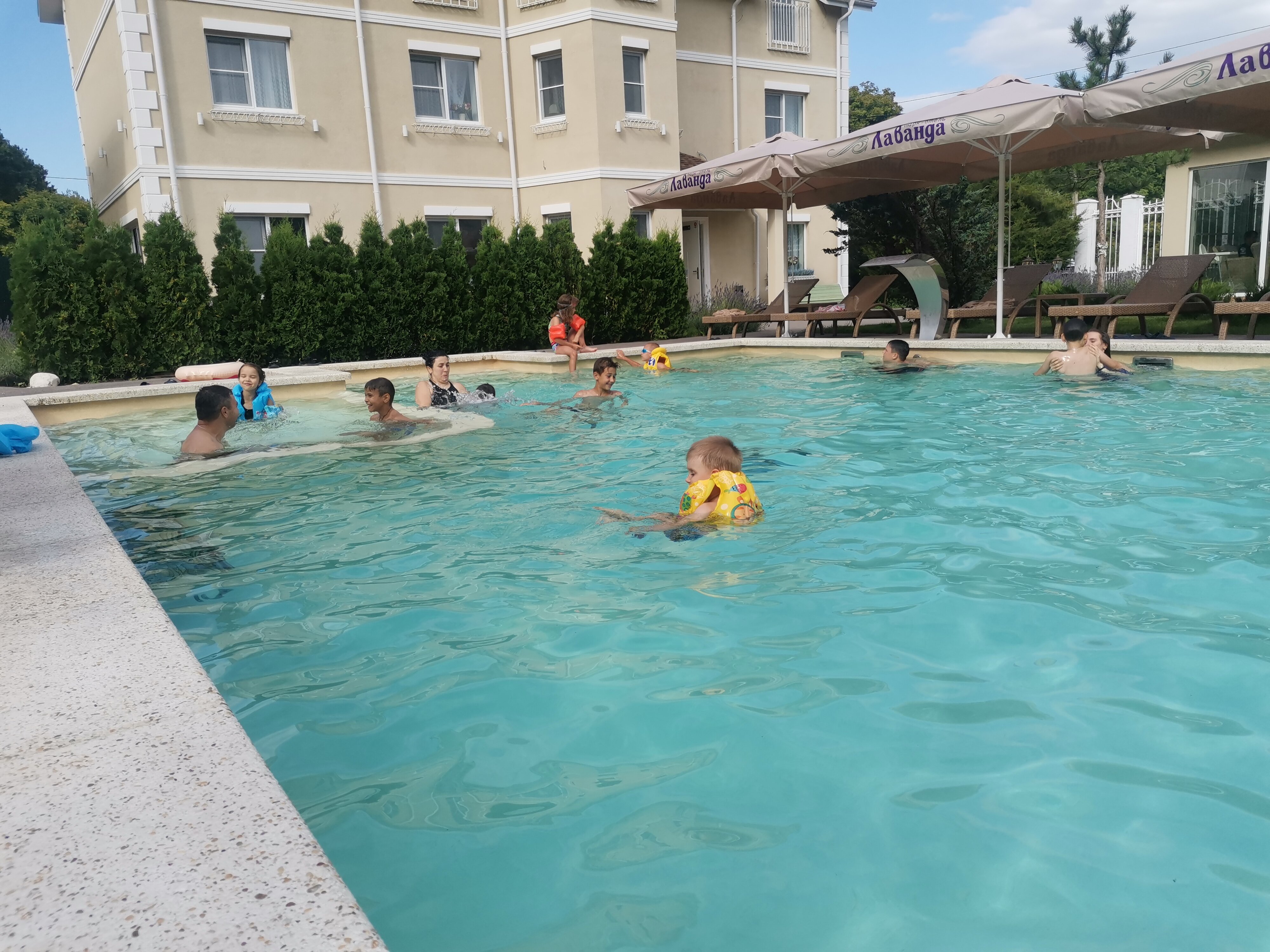 Фото Лаванда