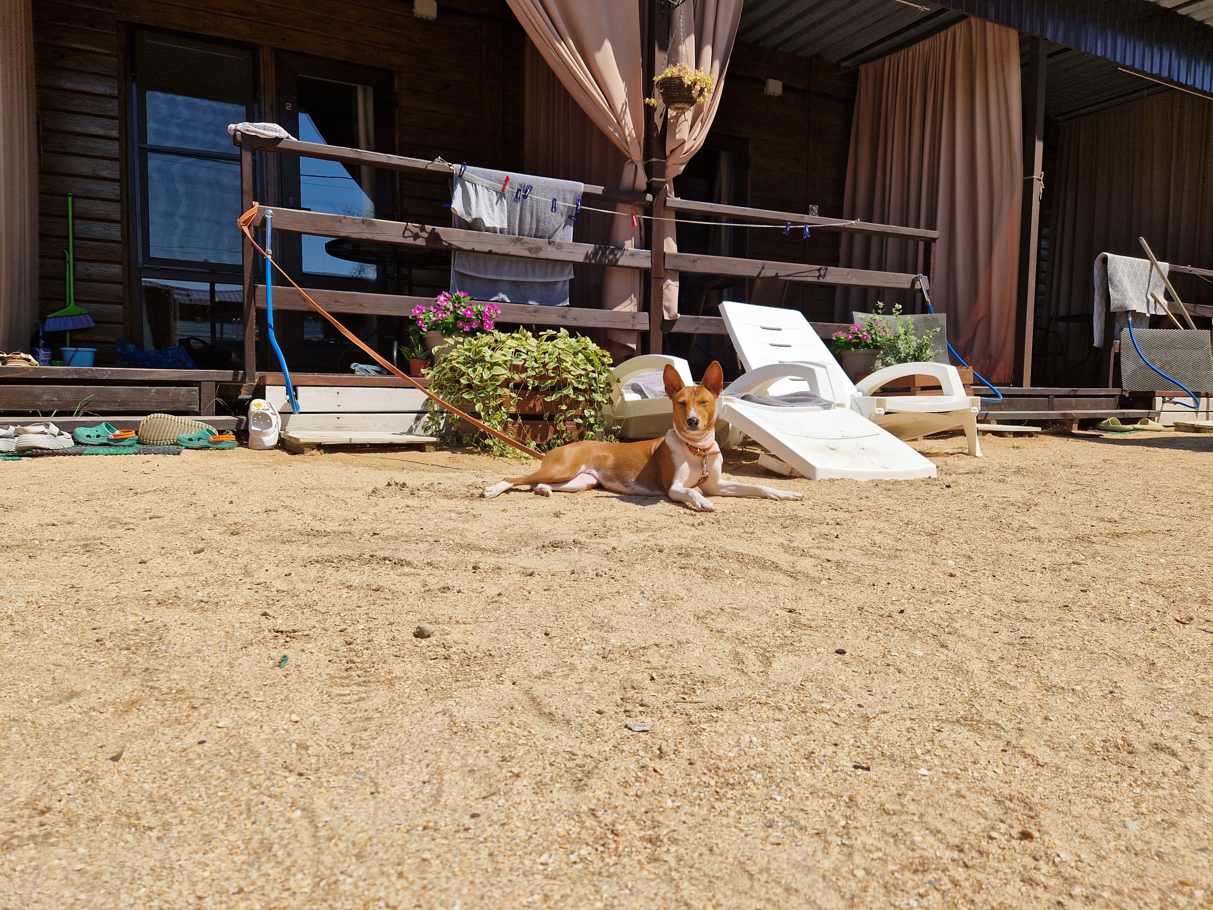 Фото Бумеранг