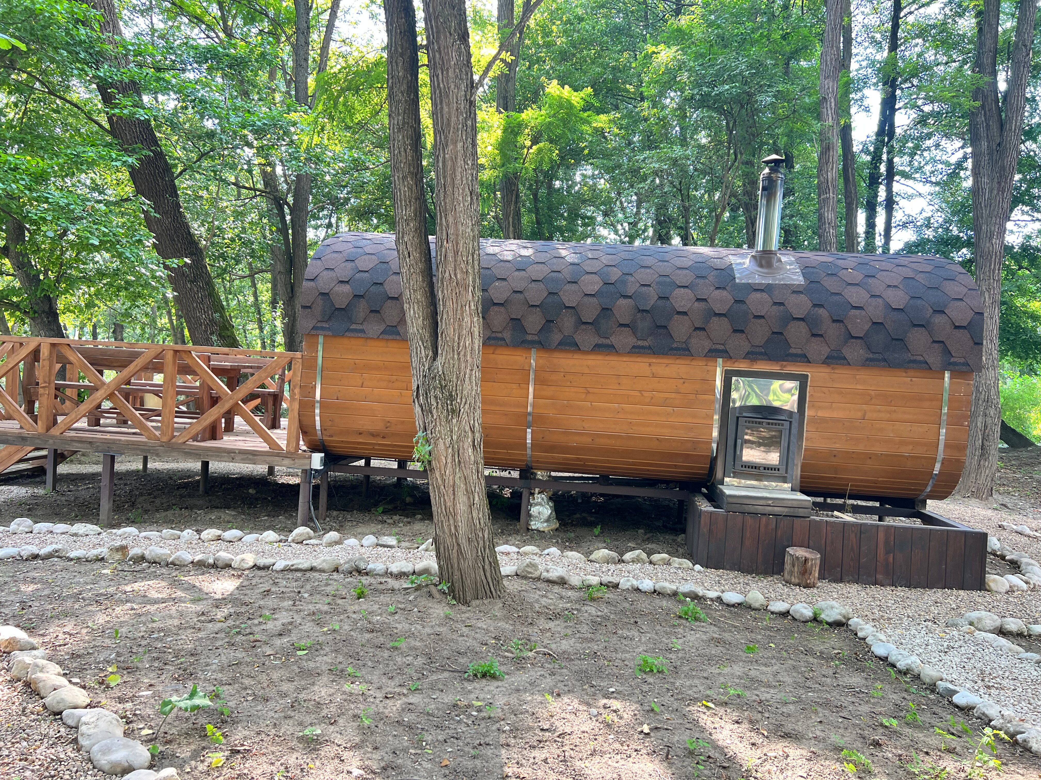 Фото Богатый лес