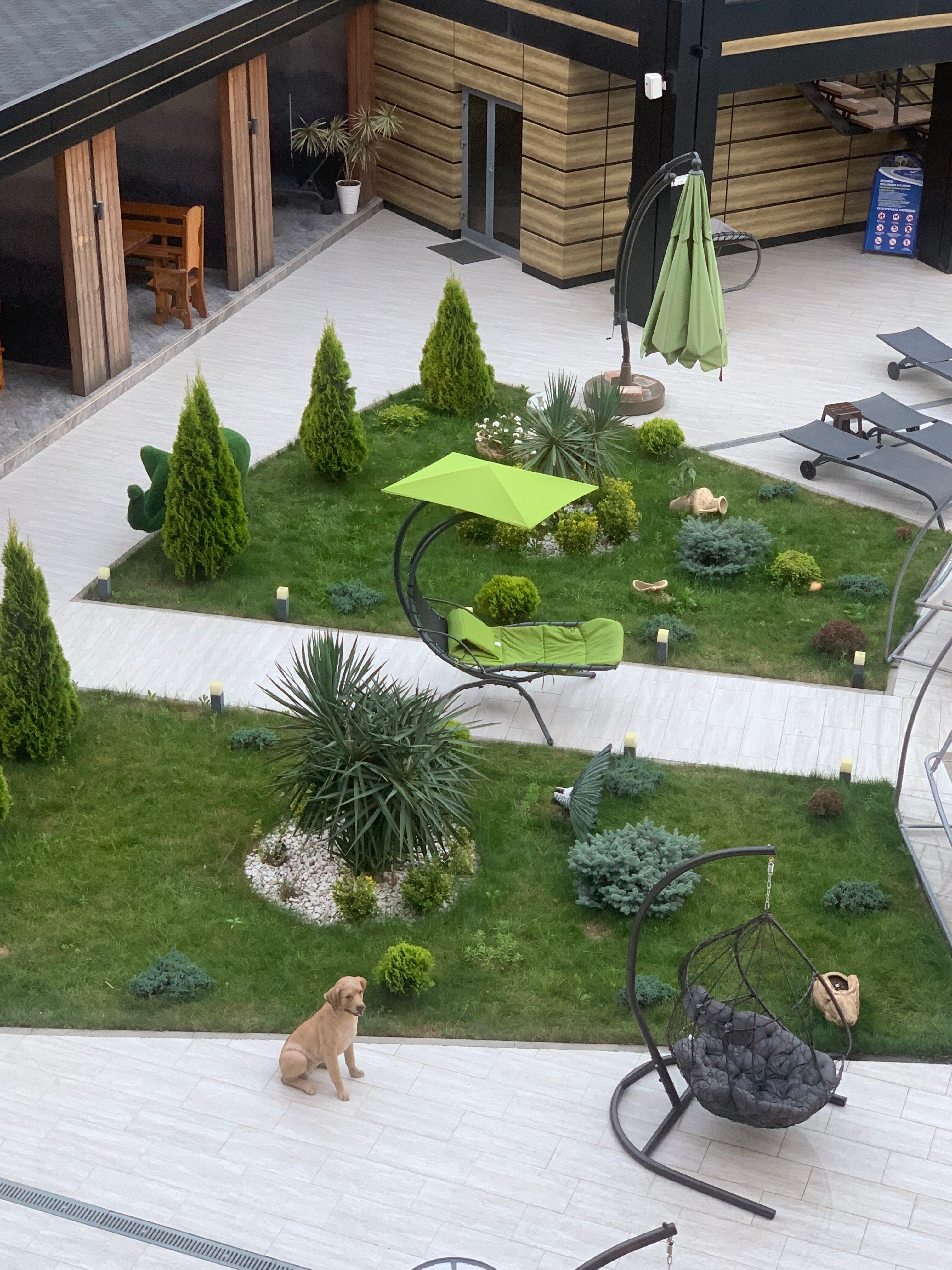 Фото Олимп Плаза