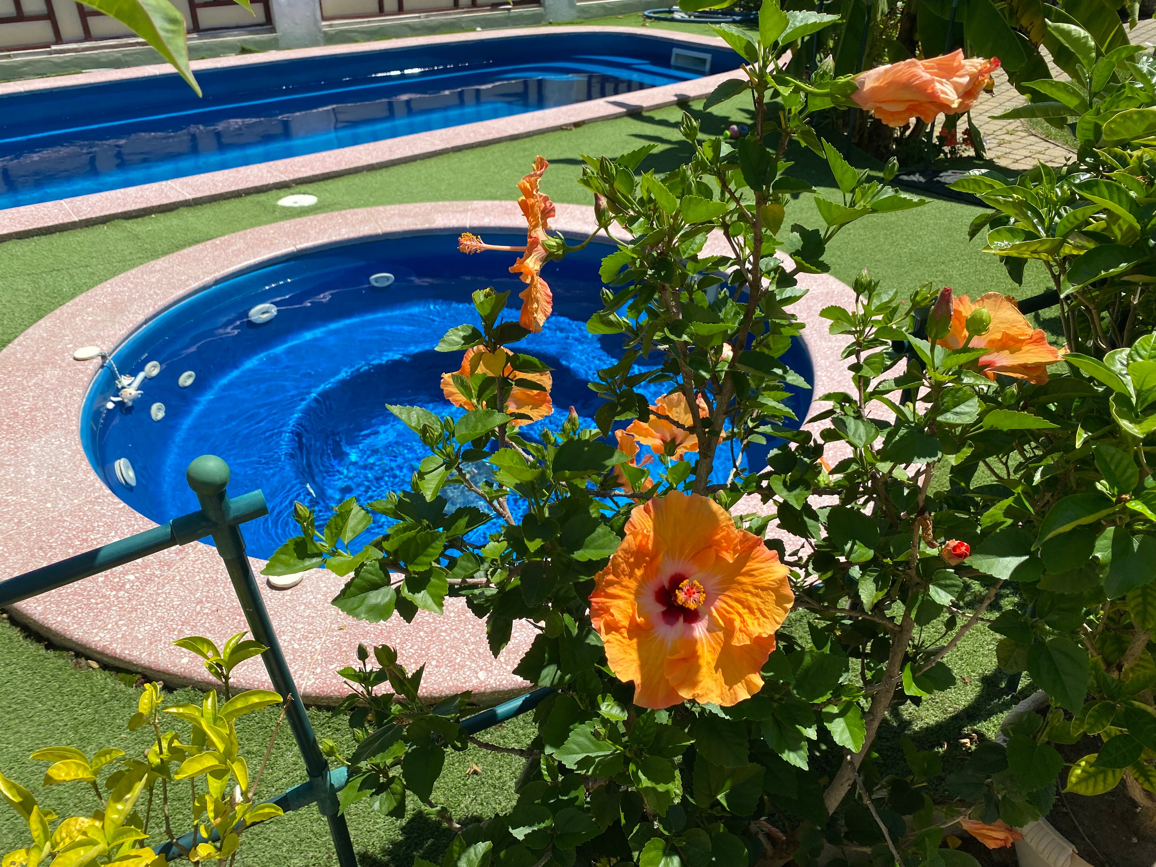 Фото Вилла София