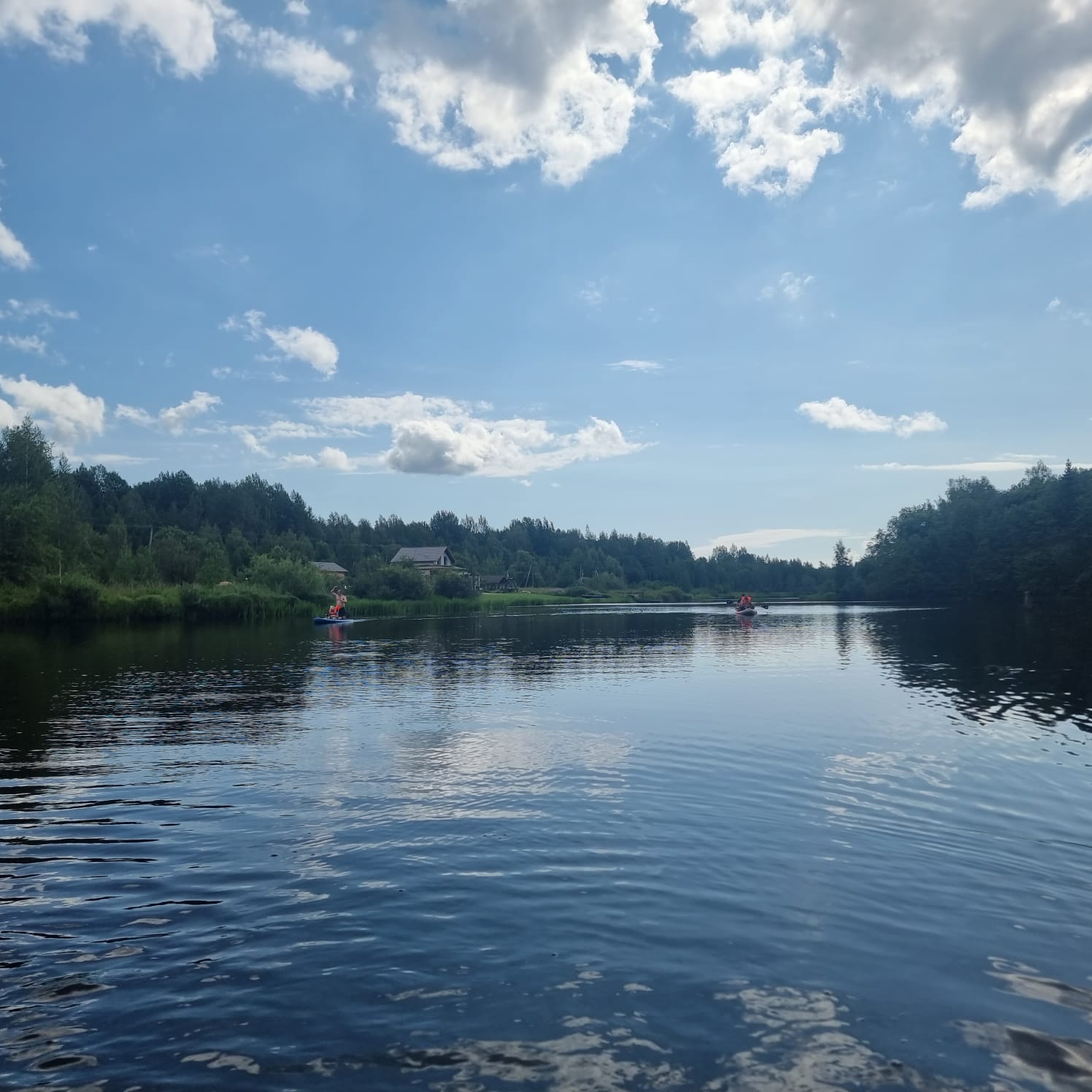Фото Лаванда