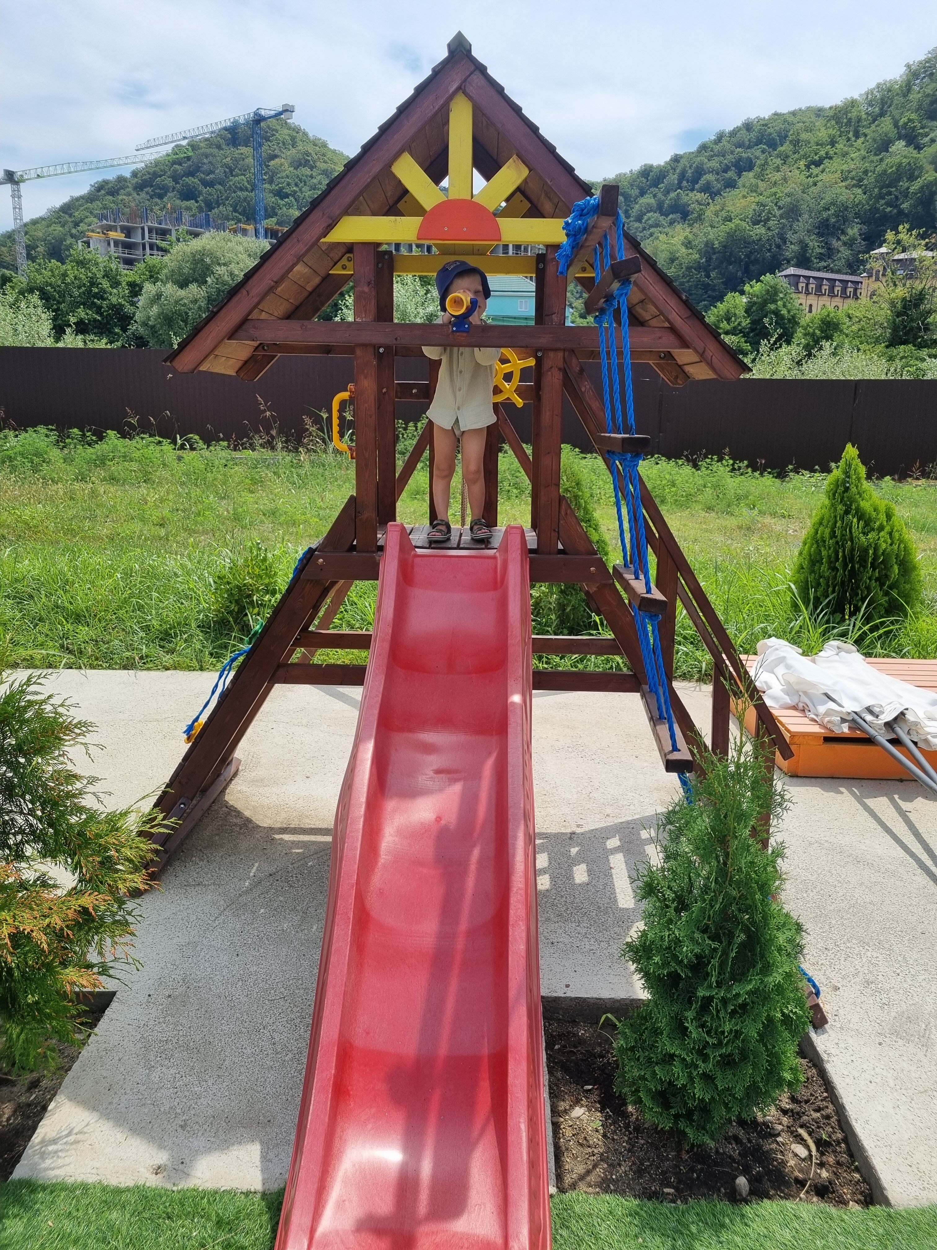 Фото Ежевика