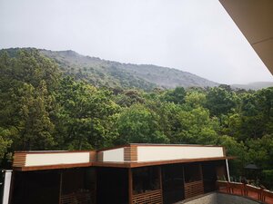 Лесной дворик