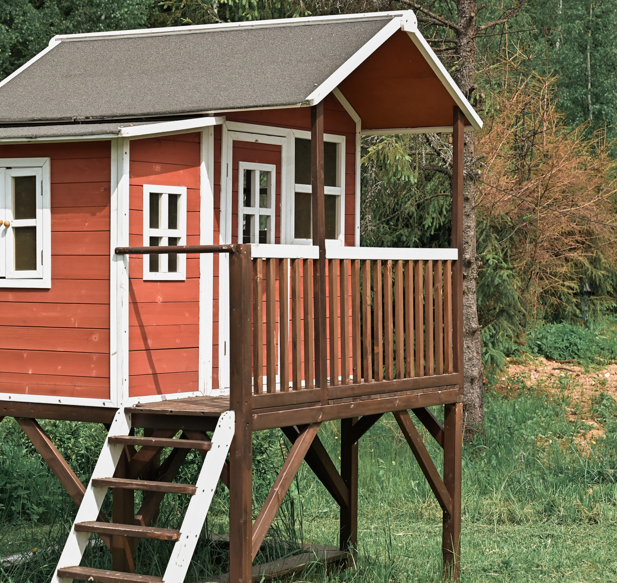 Фото На даче