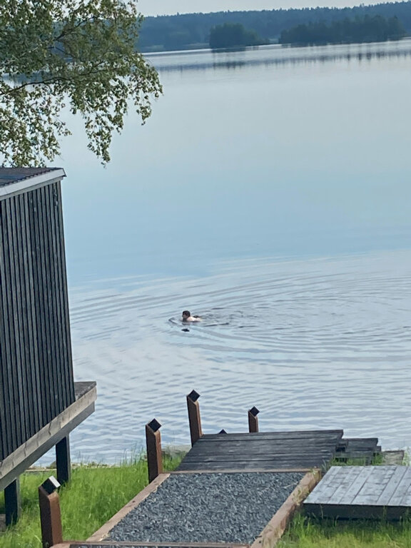 Фото 4 Стихии