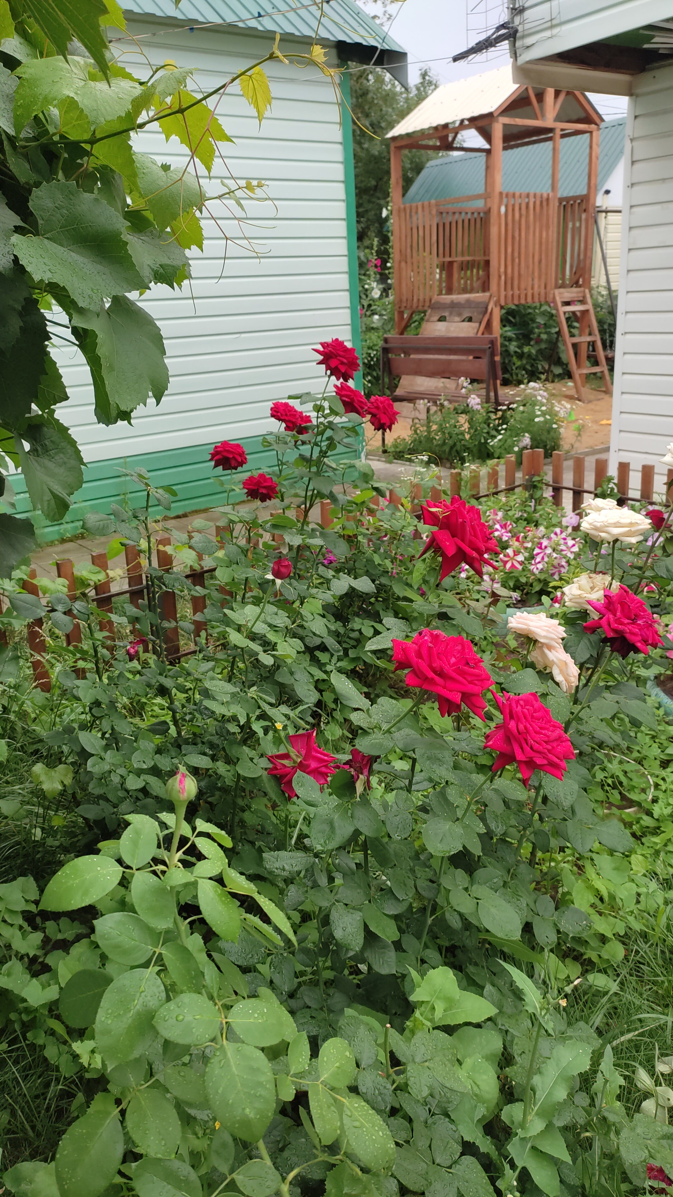 Фото Эконом