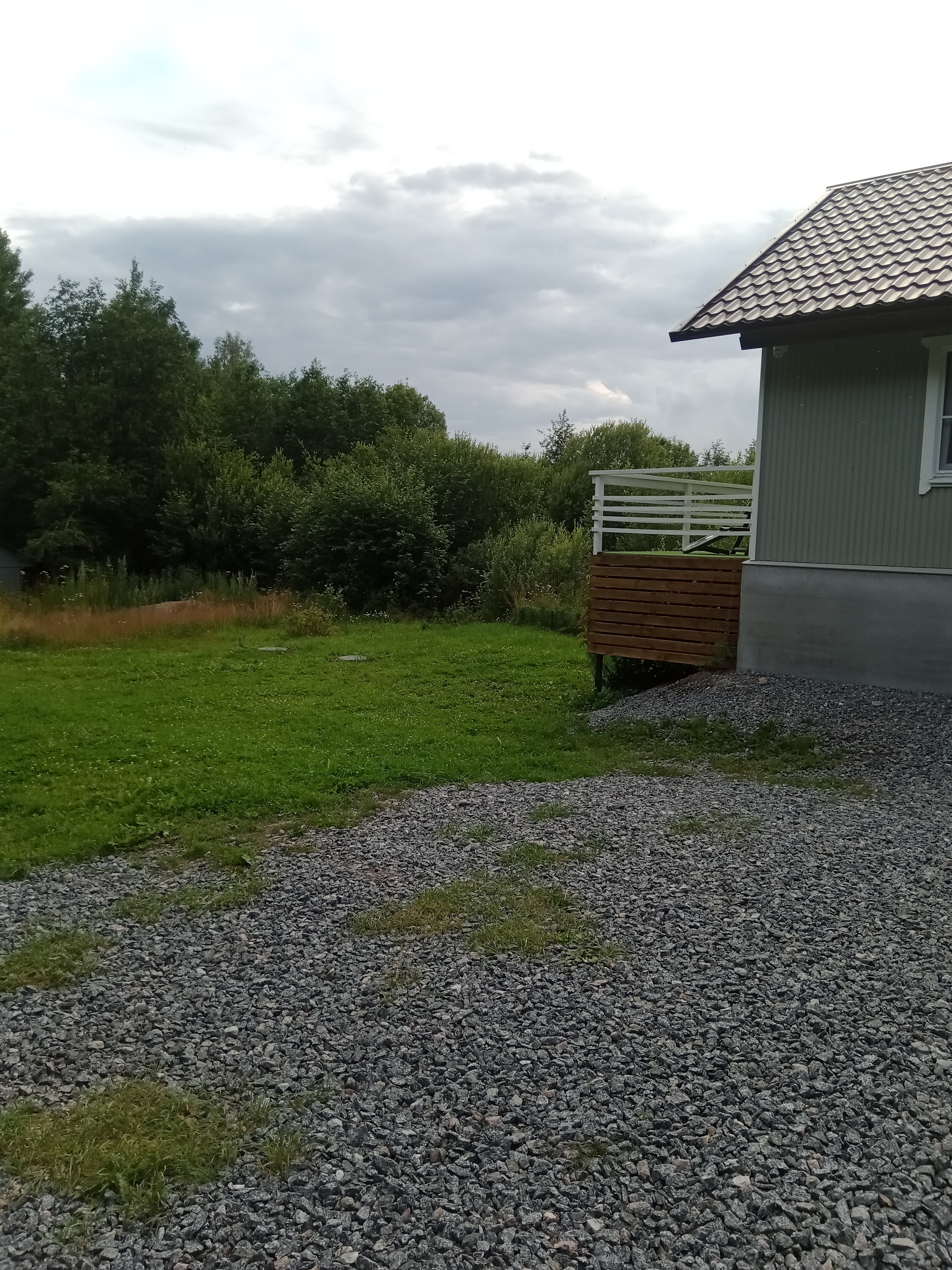 Фото Домик у ёлки