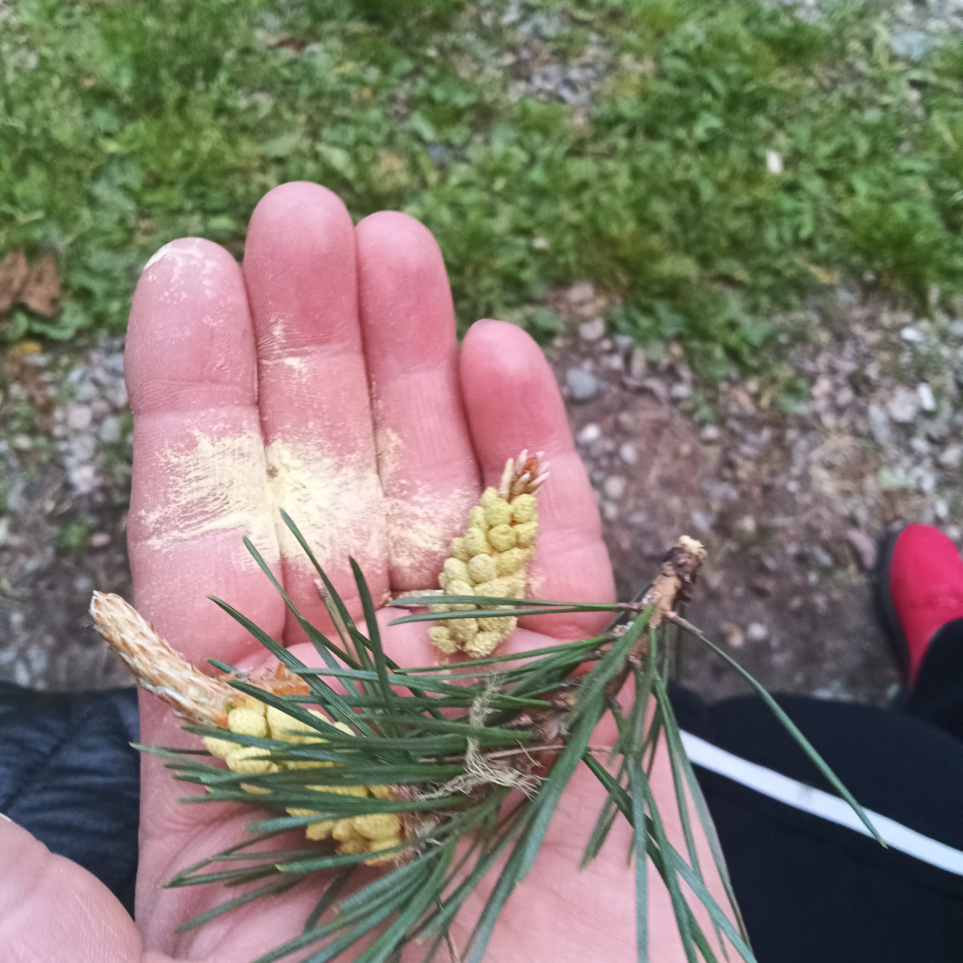 Фото Сказка Архыза