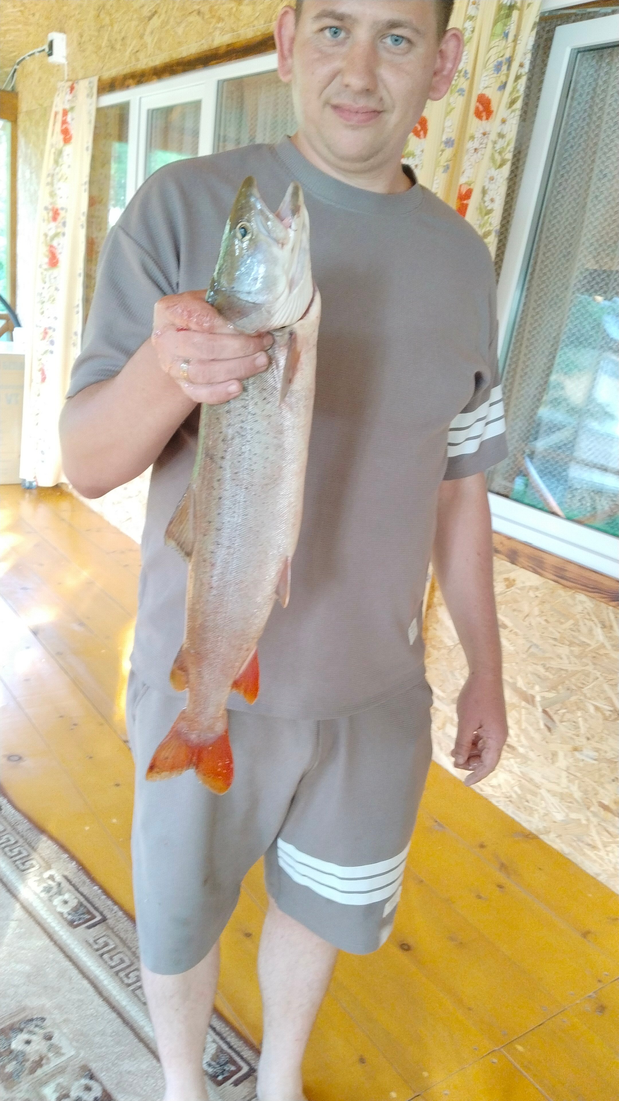 Фото Солнечная