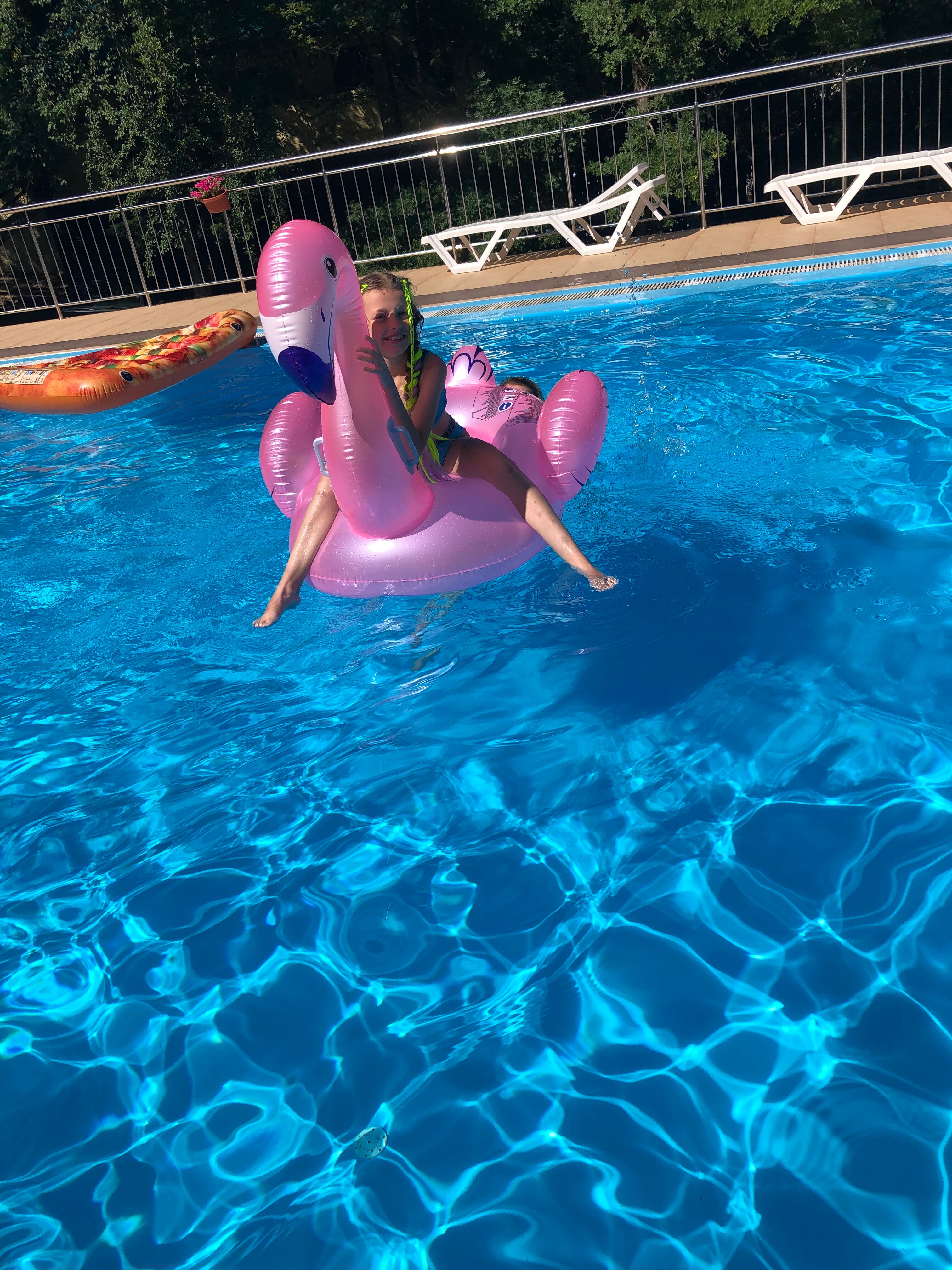 Фото Примула