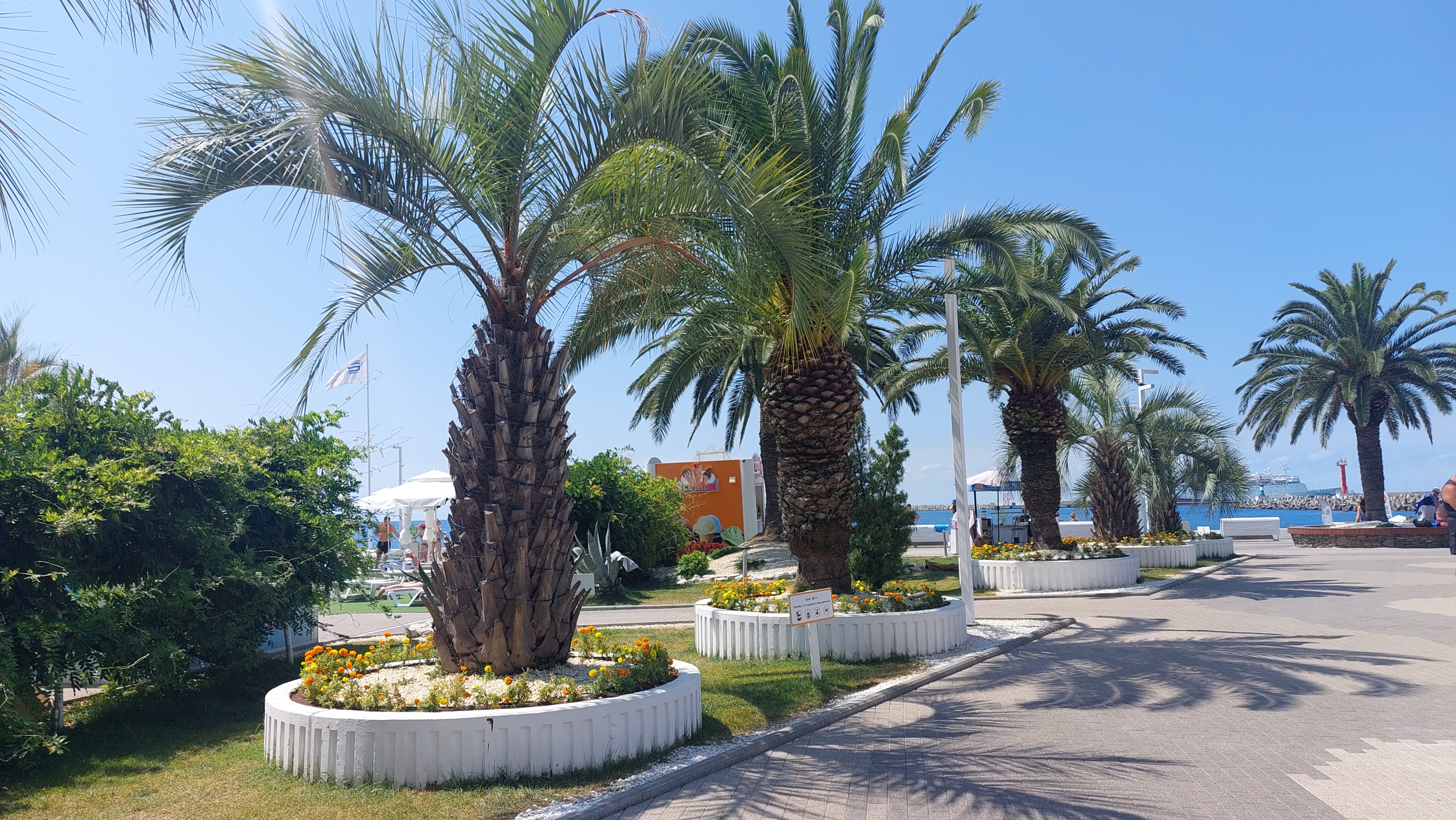 Фото У Оксаны