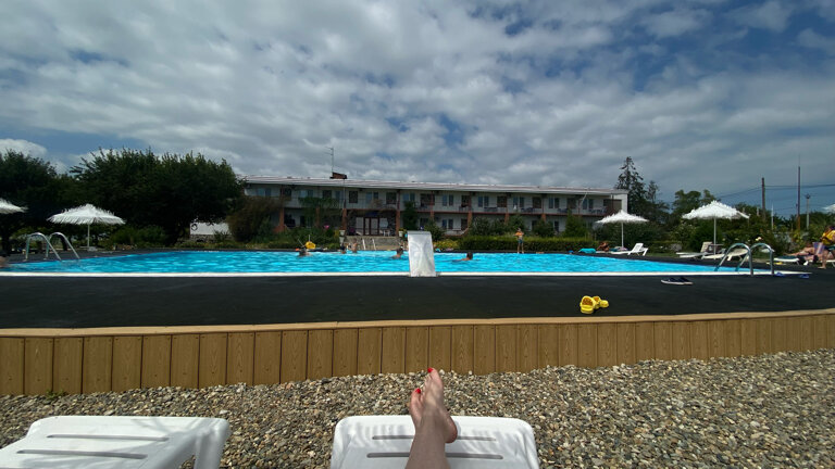 Фото Альбатрос