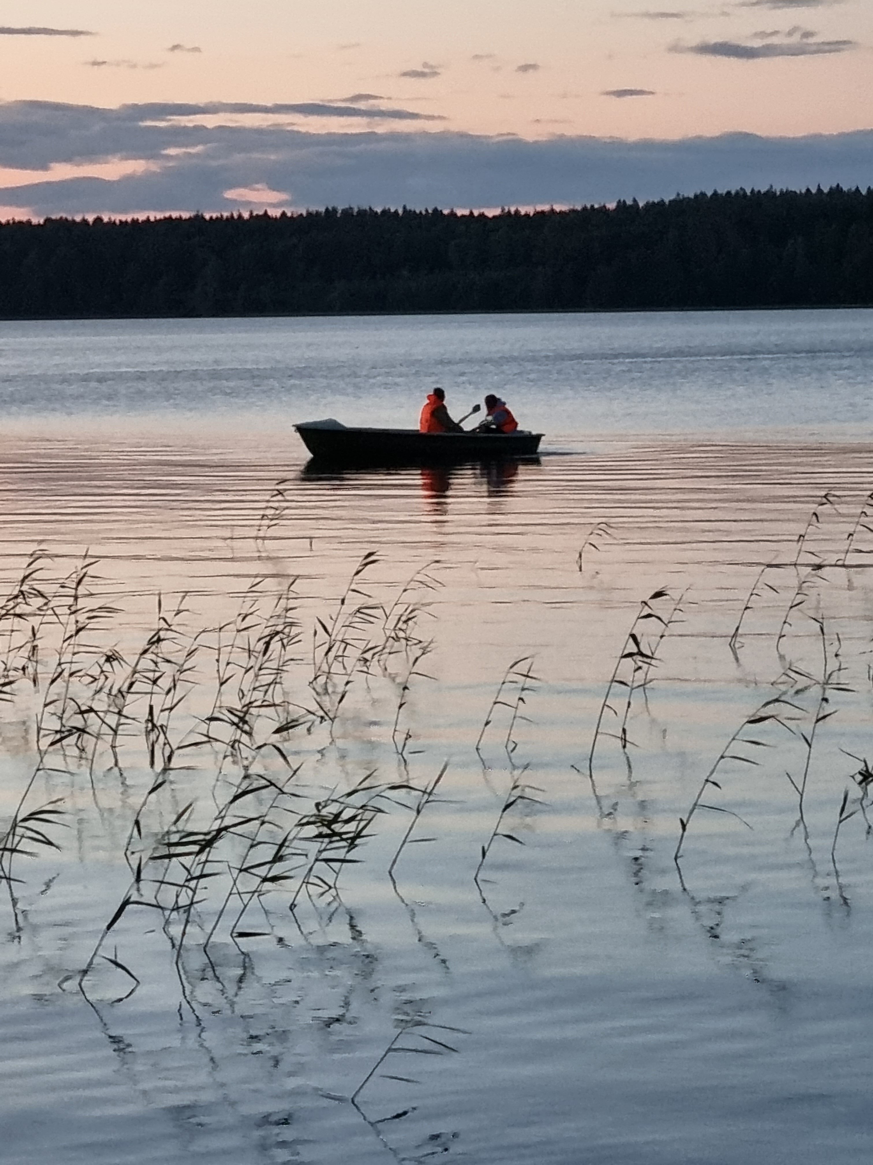 Фото Суйсарь