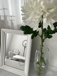 Dr. Alinochka (Zarechnaya Street, 40к2) ، علم التجميل