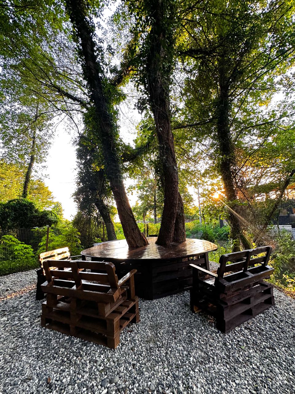 Фото Aqua resort Dacha