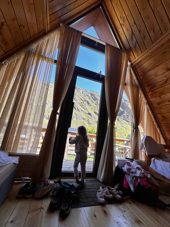 Фото Альпака