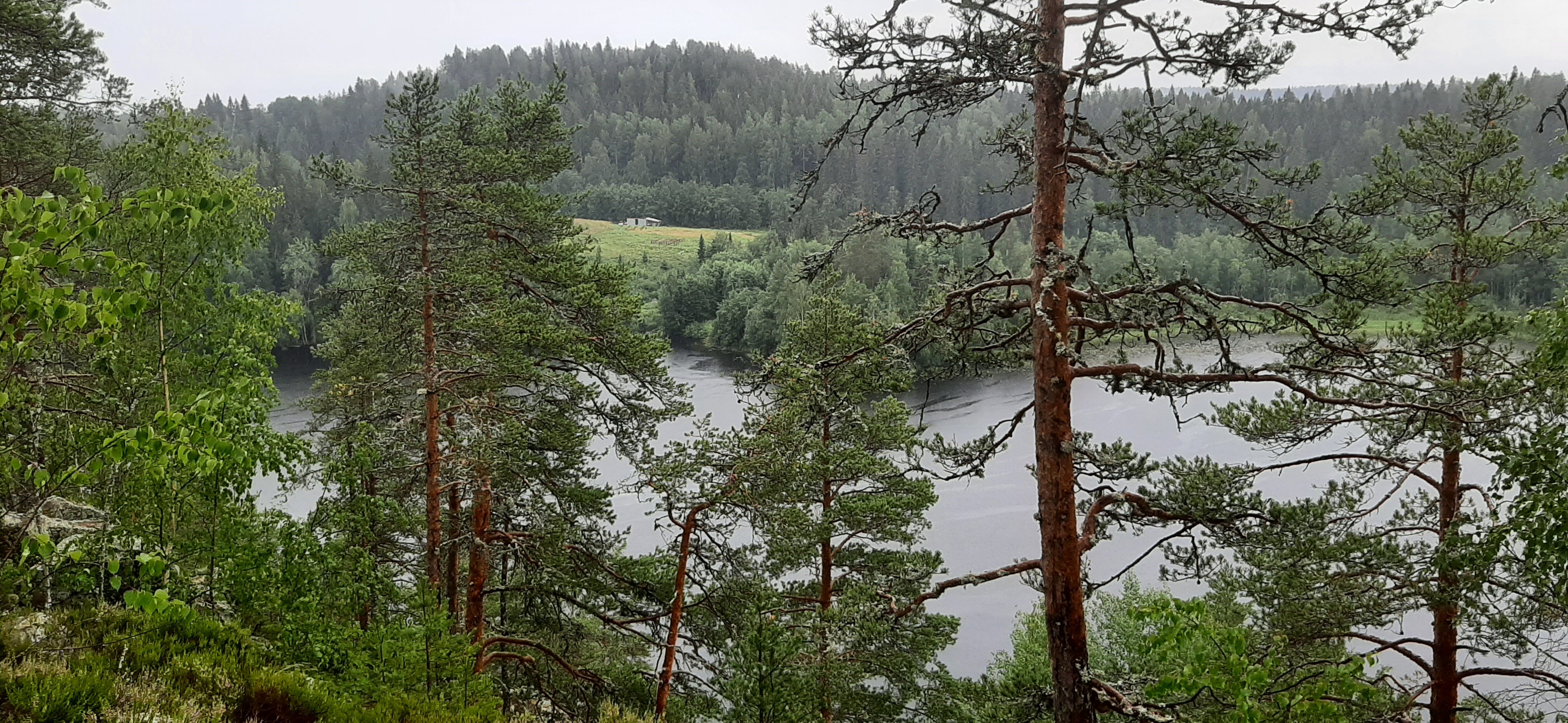 Фото Котопельто