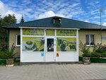 Встреча (selo Zoyevka, ulitsa Veteranov, 1), cafe