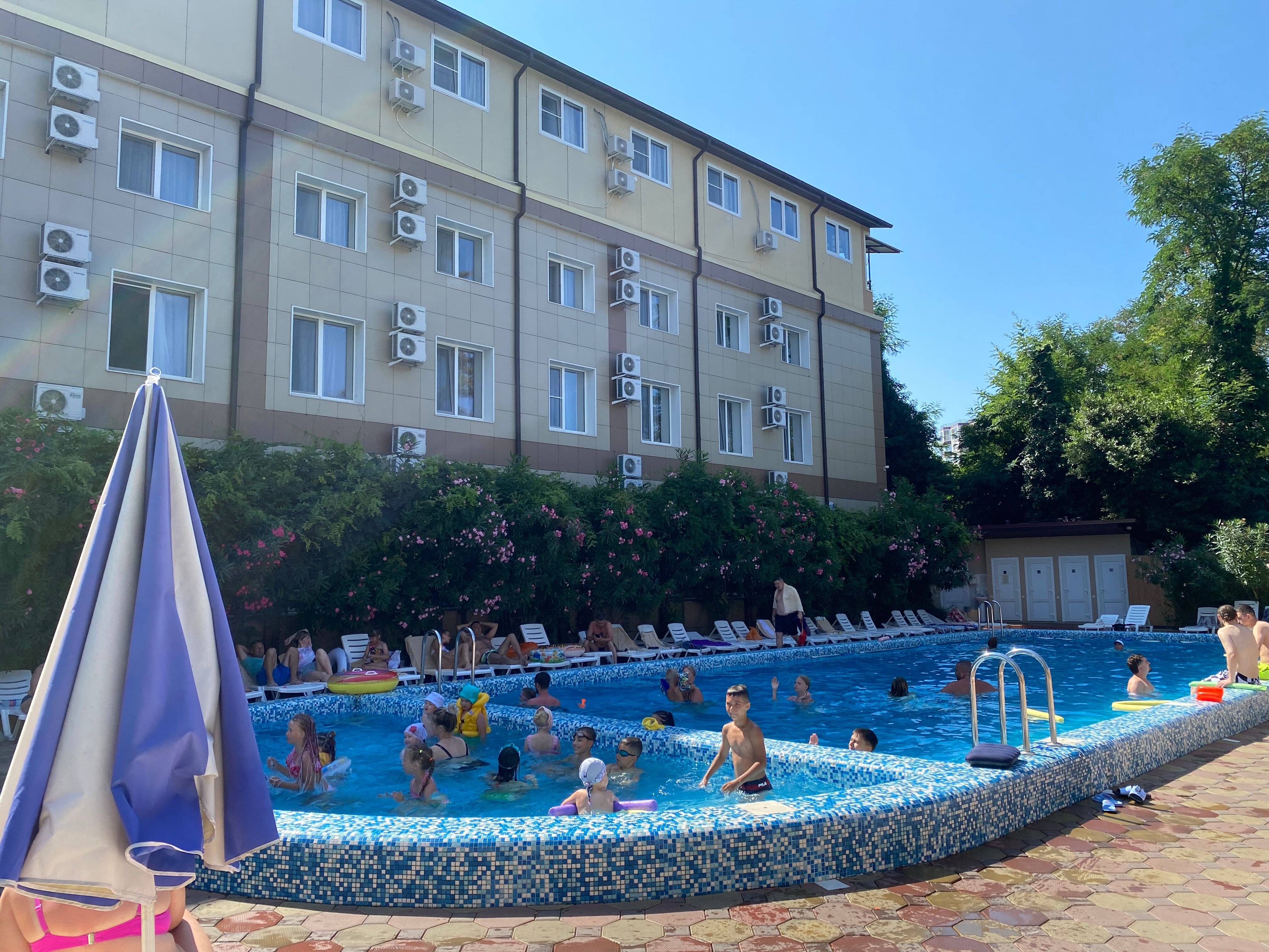 Фото Азалия