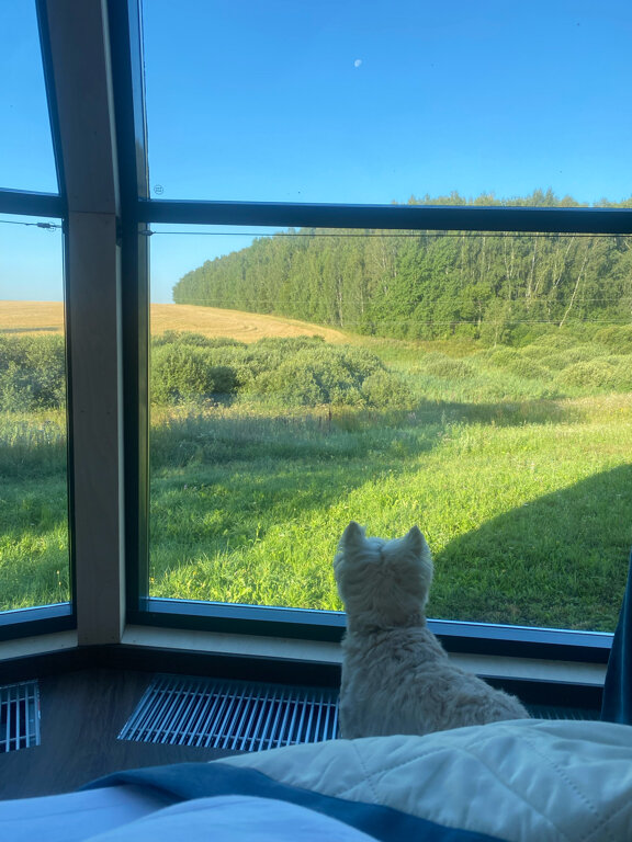 Фото Аблъко Резорт