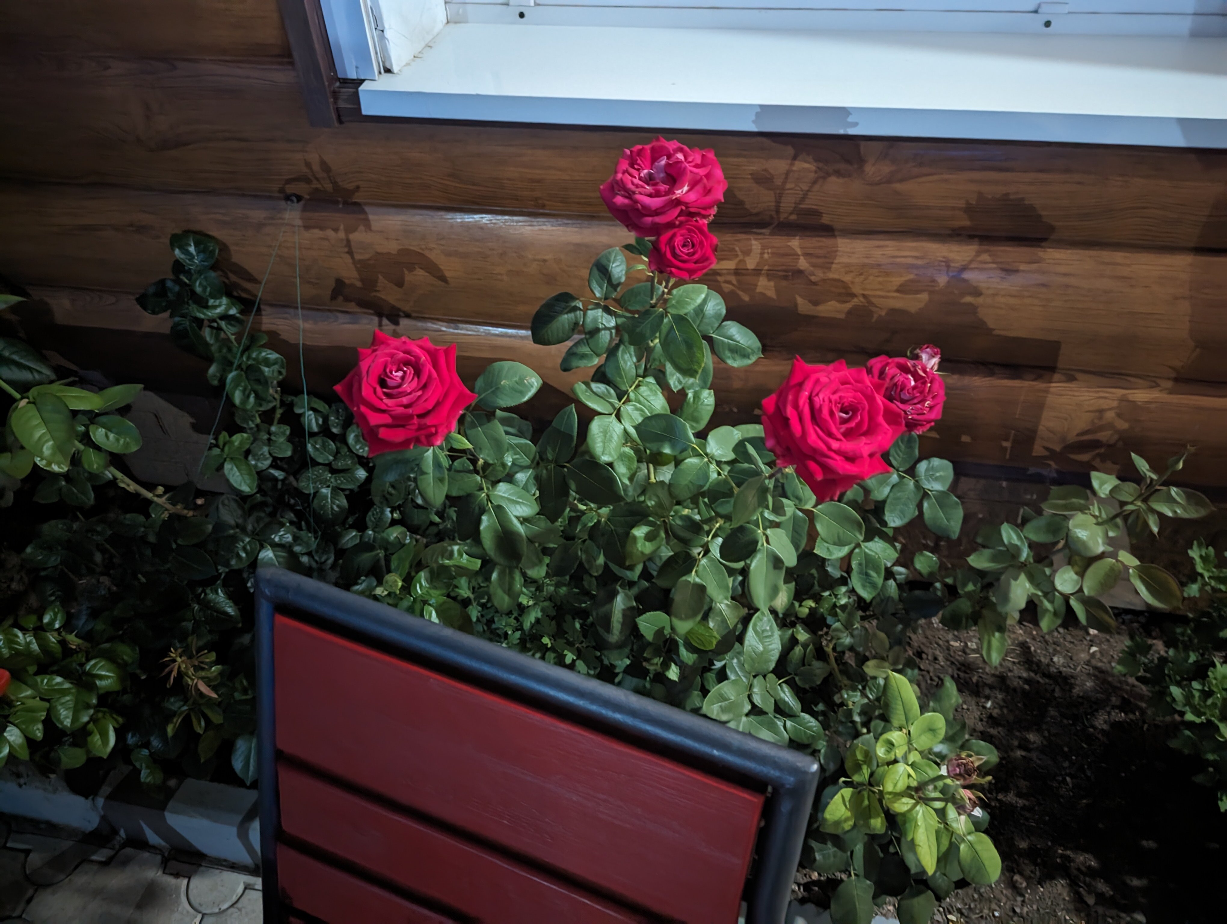 Фото Усадьба