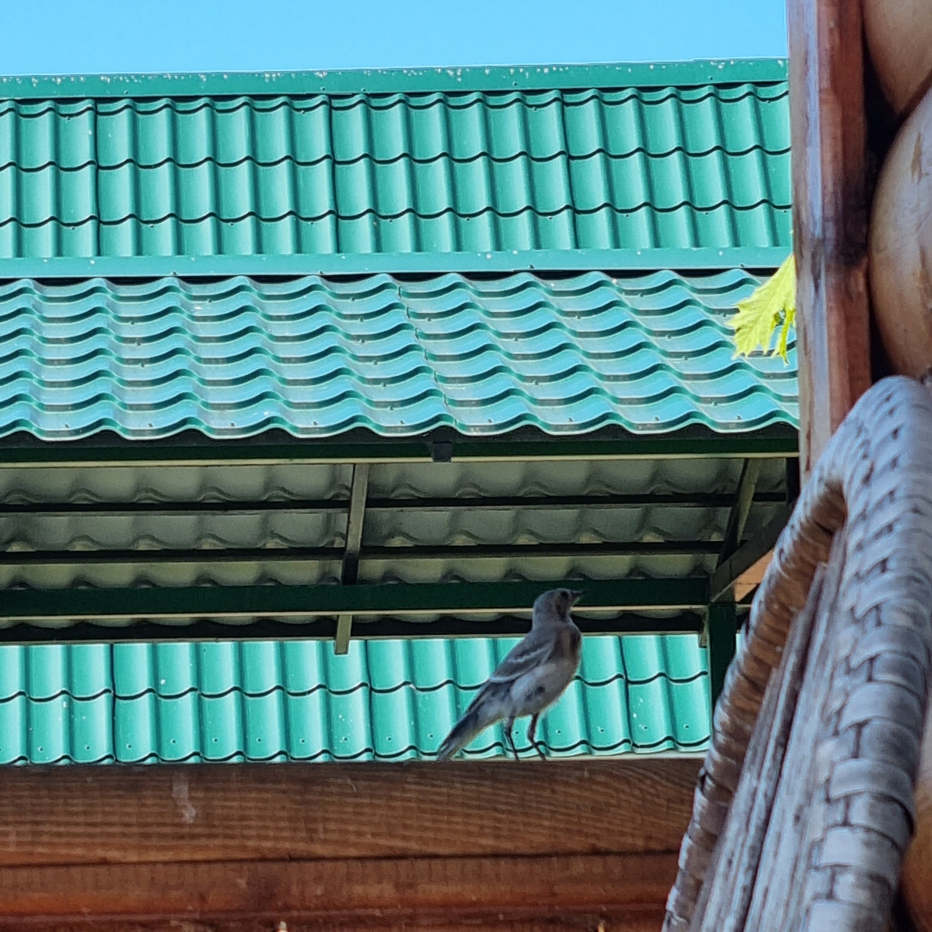 Фото Маруся