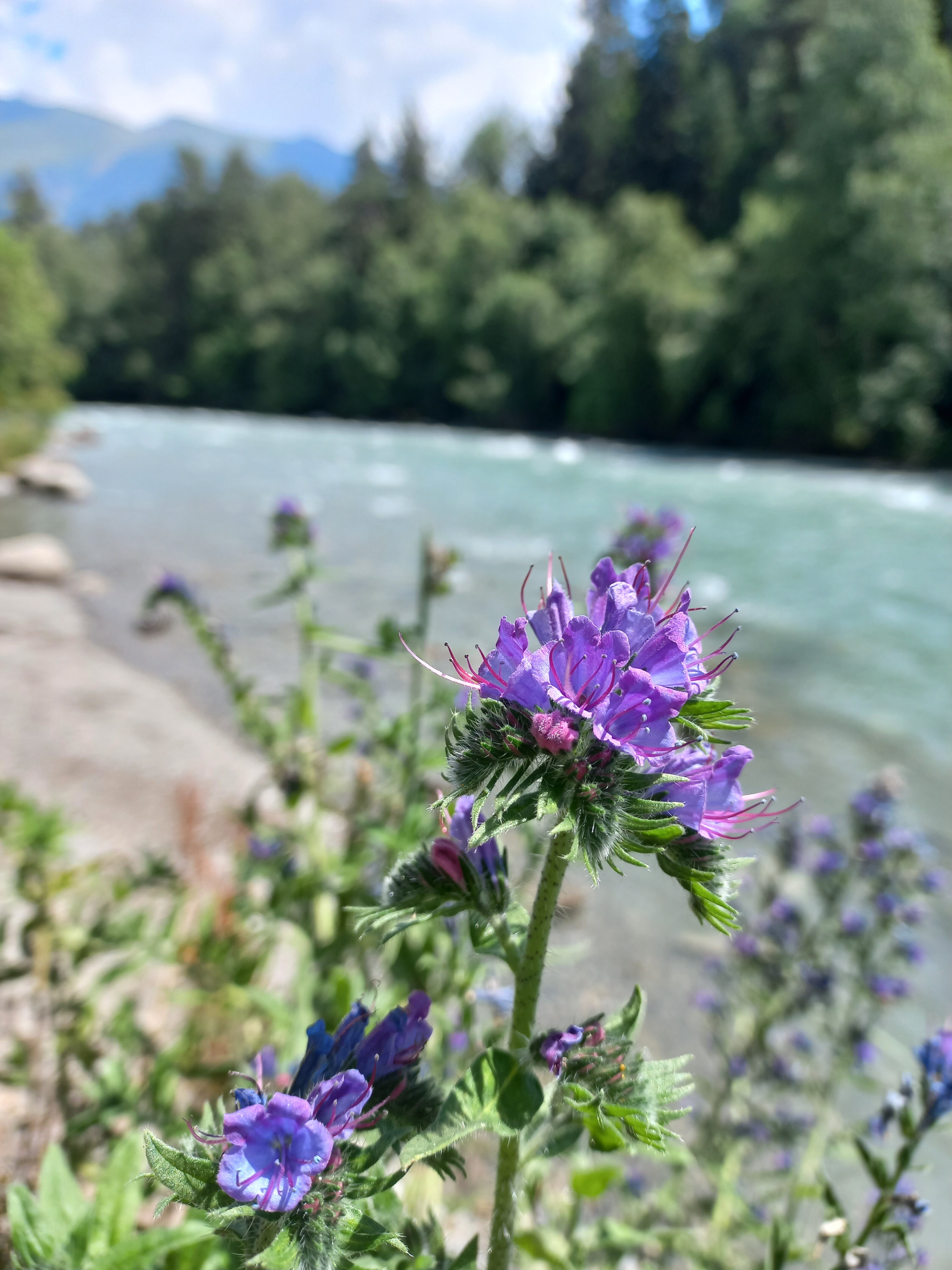 Фото Красная скала