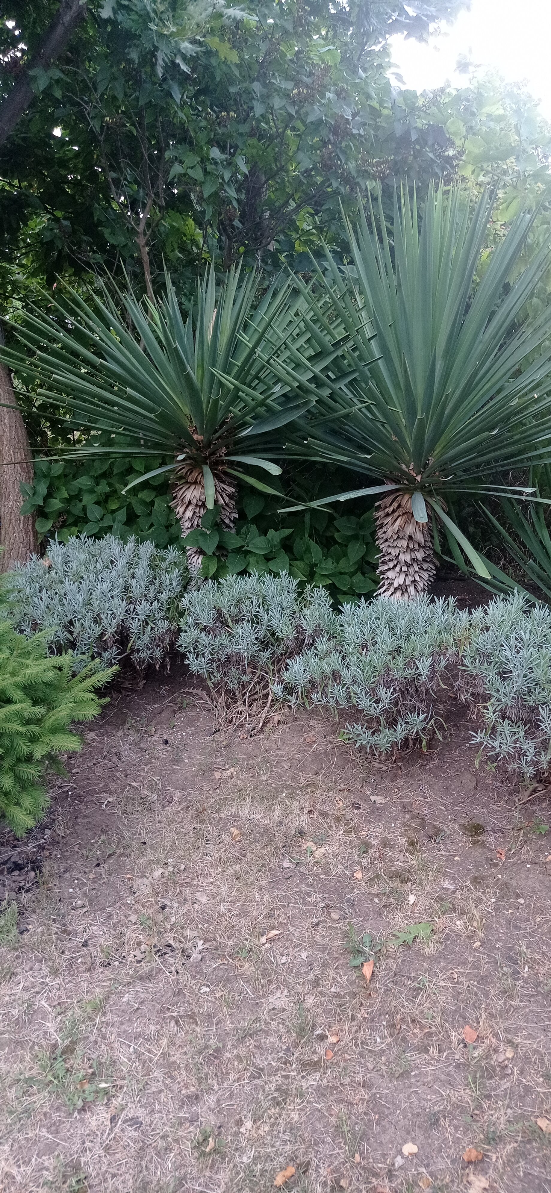 Фото Марианна