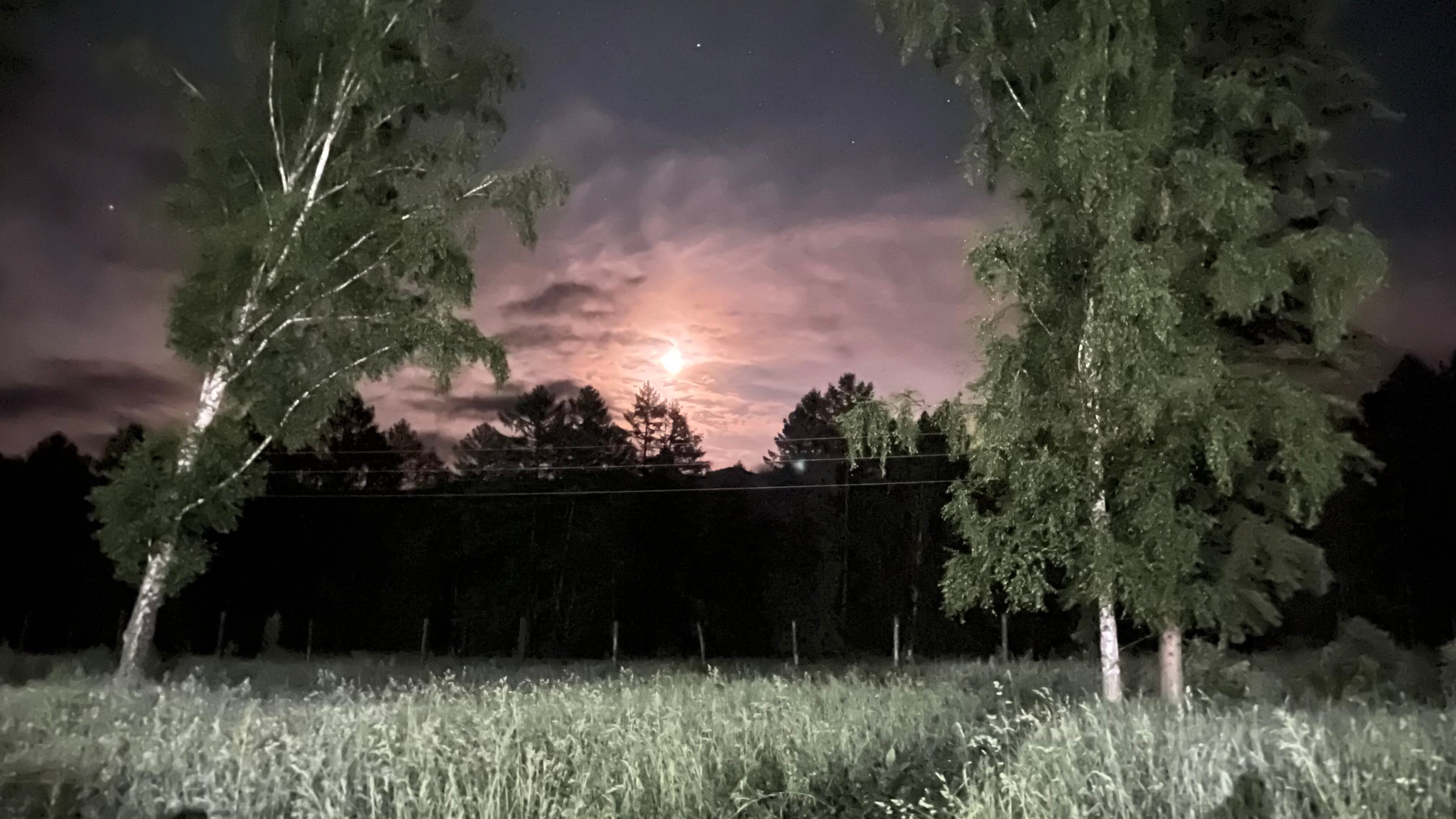 Фото Фазенда